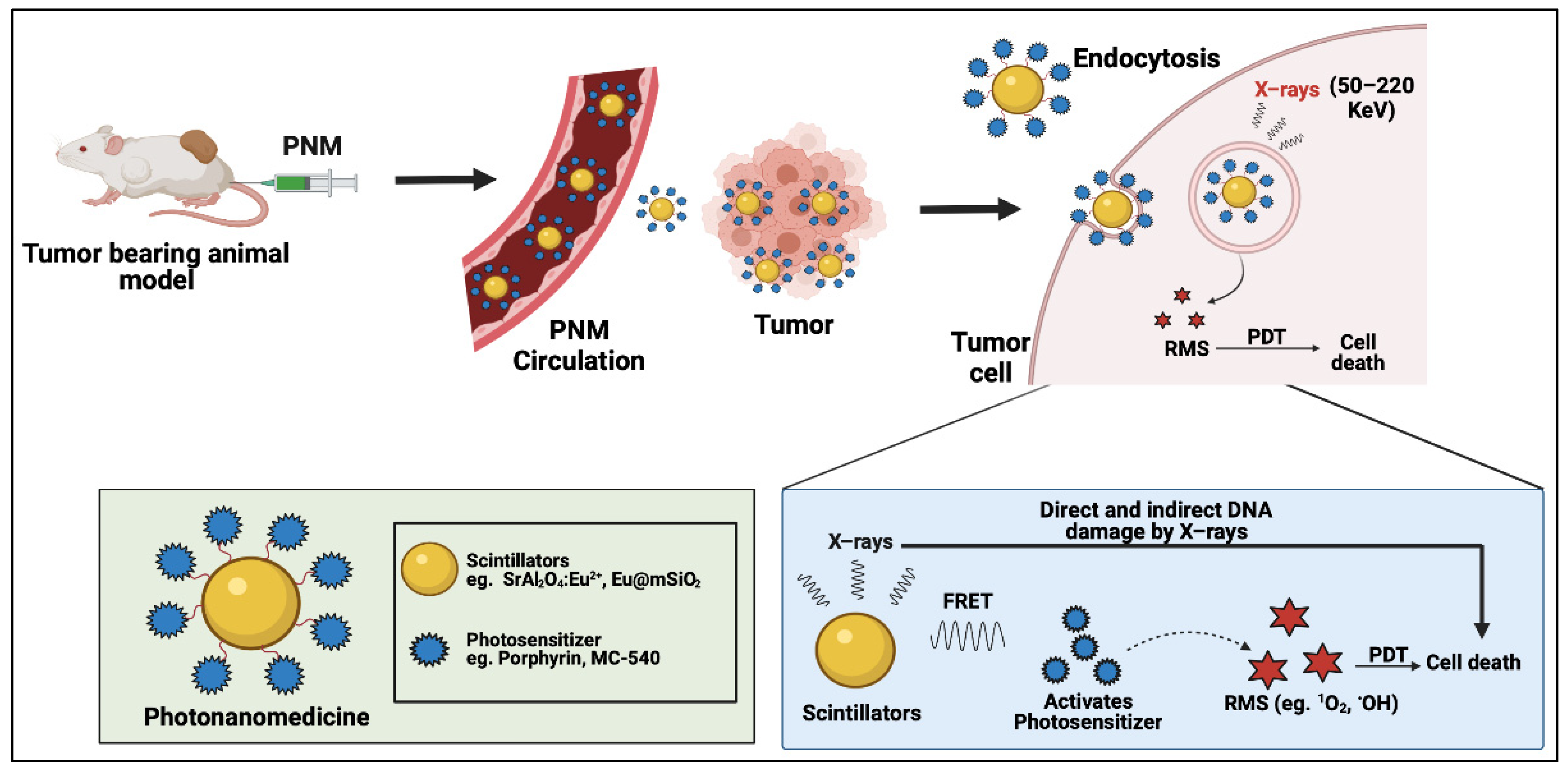 Cancers 14 02004 g006