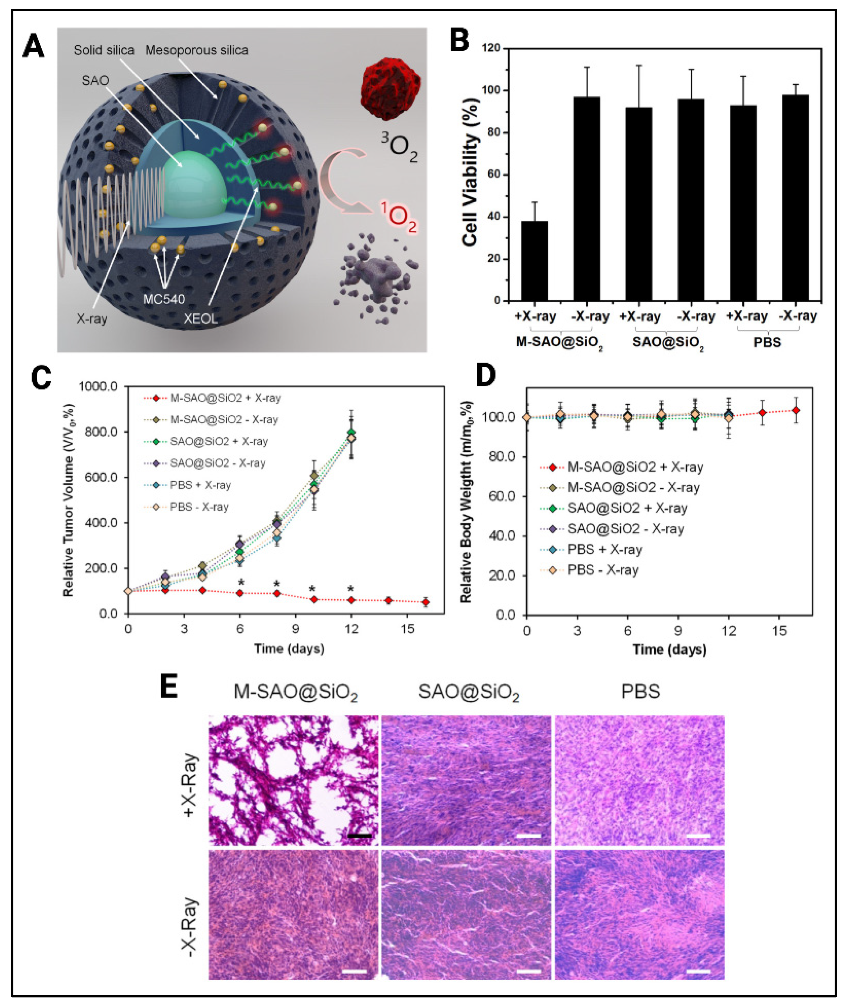 Cancers 14 02004 g007