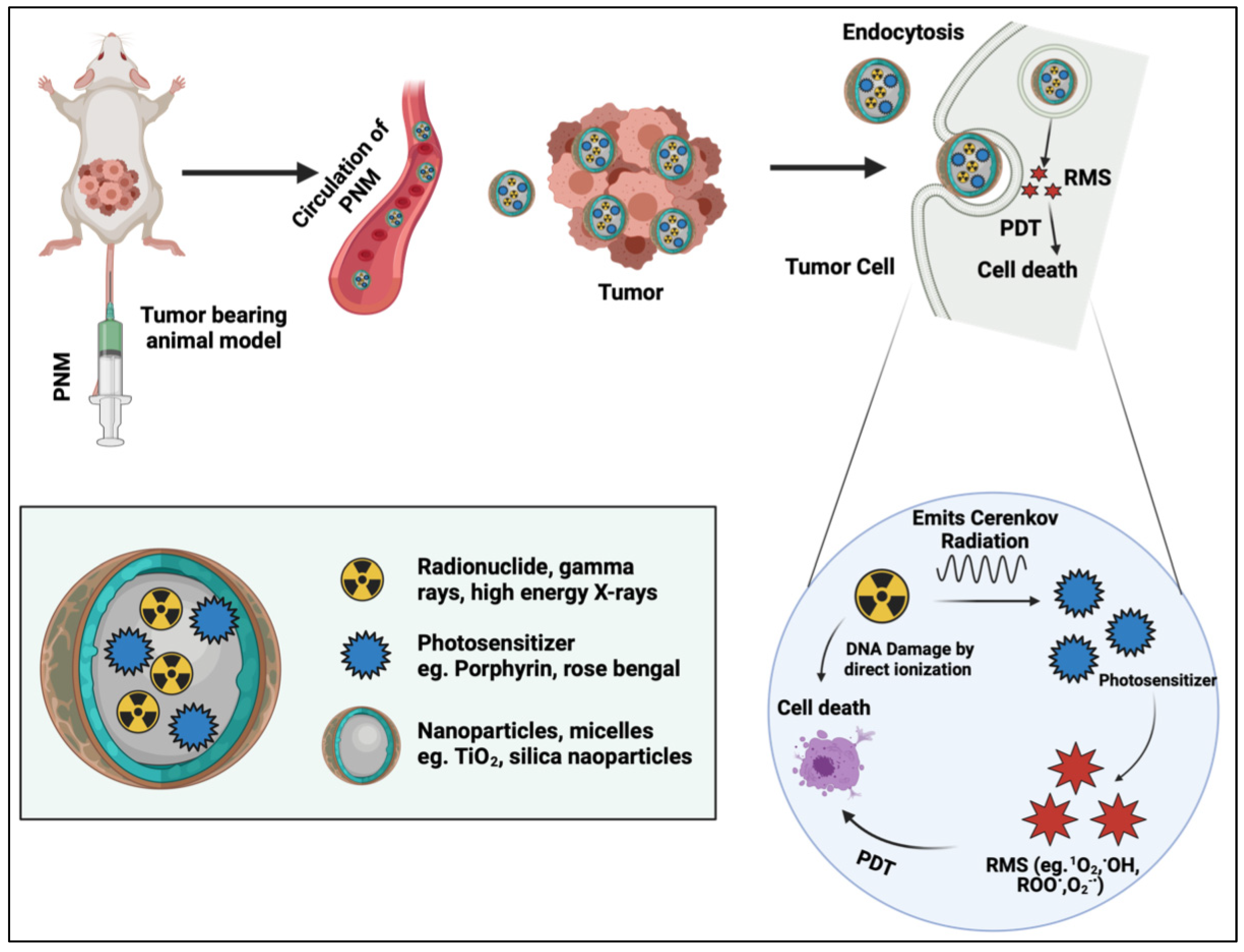 Cancers 14 02004 g008