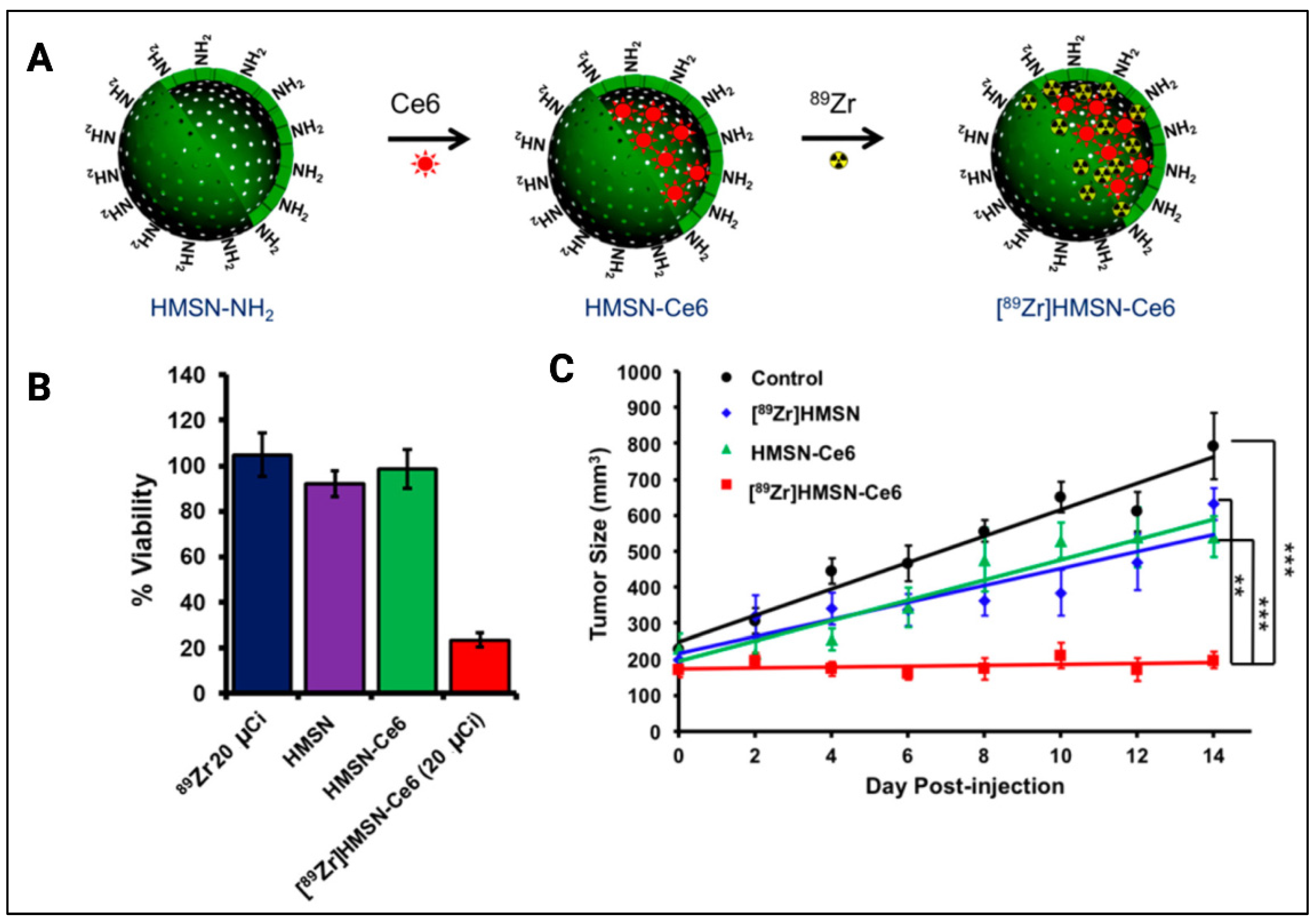Cancers 14 02004 g009