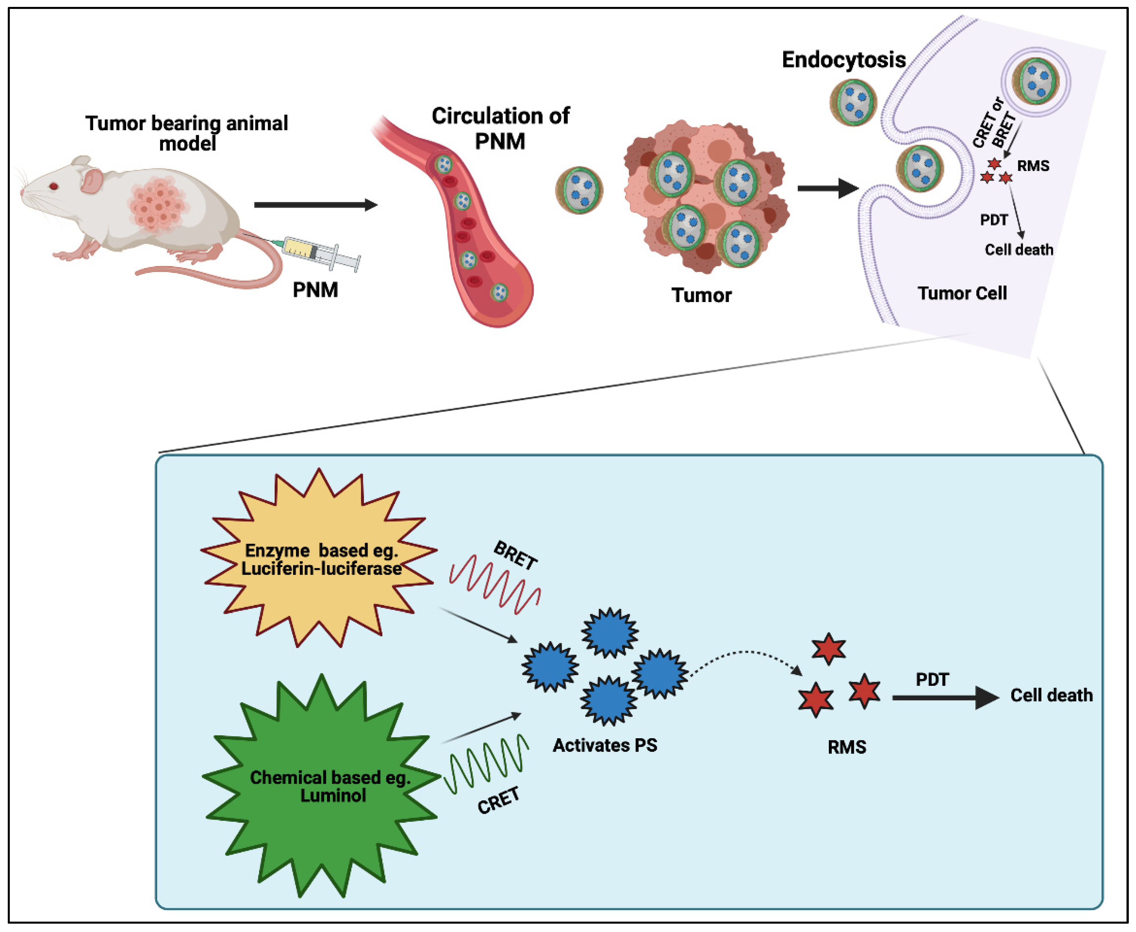 Cancers 14 02004 g010