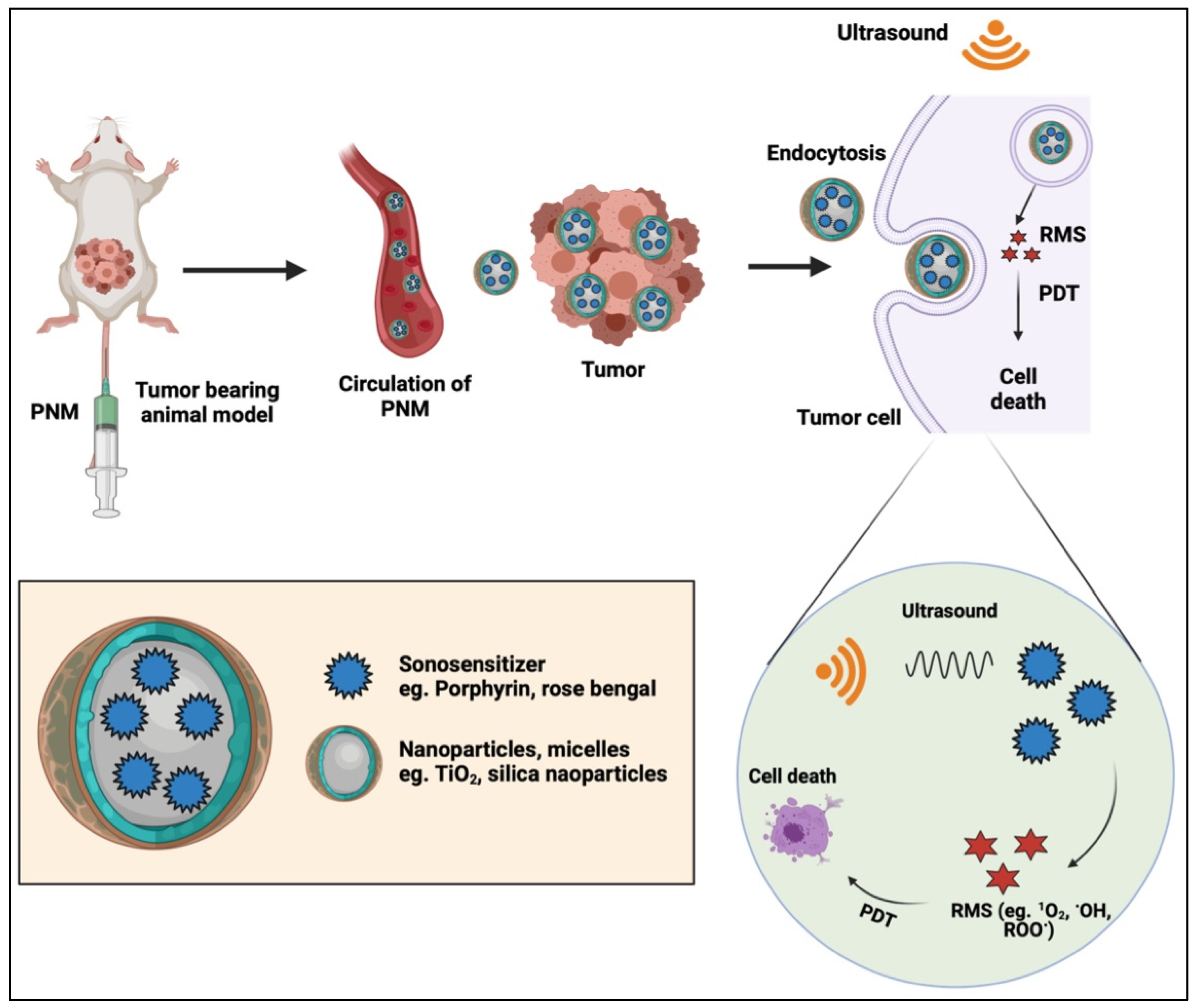 Cancers 14 02004 g012