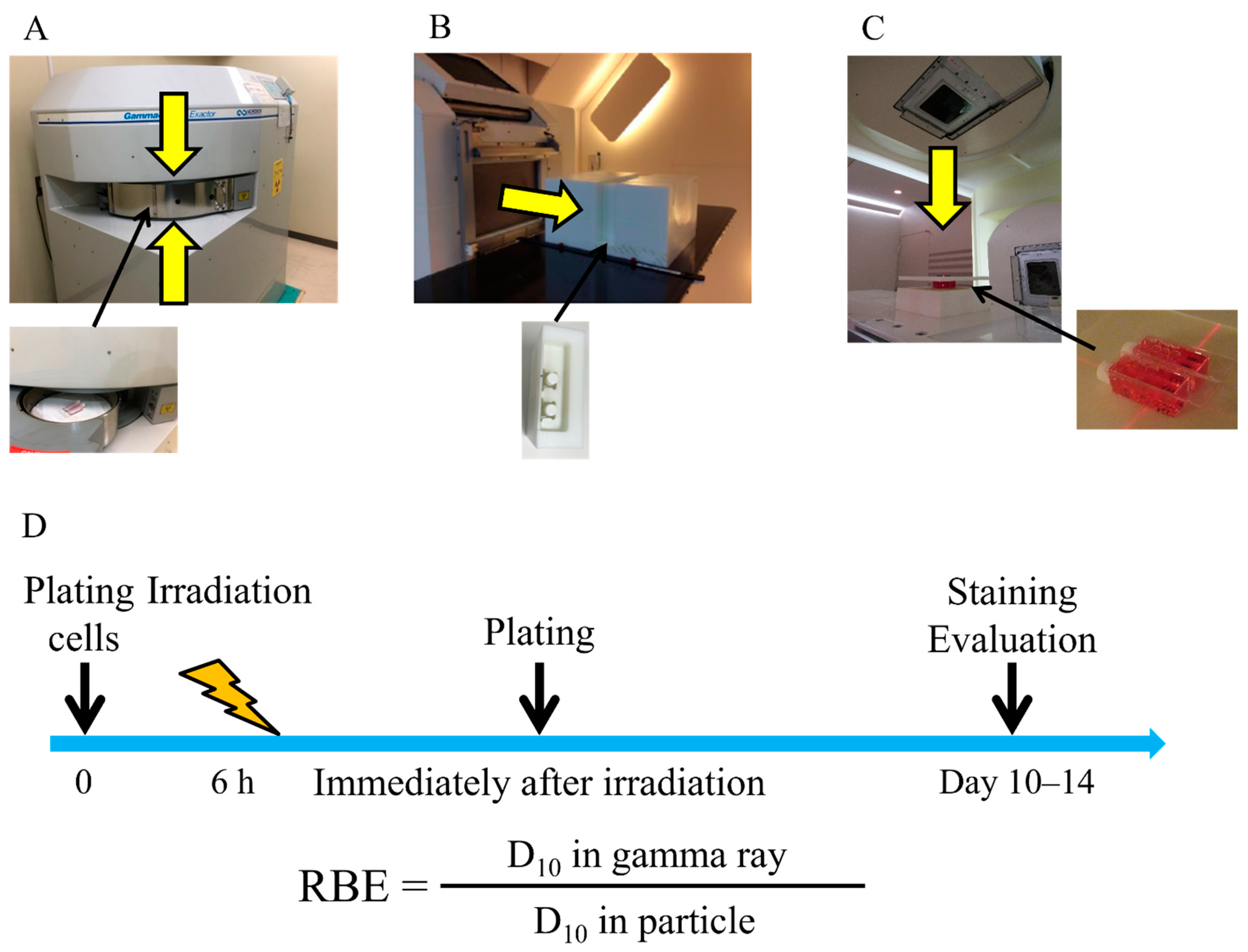 Cancers 14 02009 g005