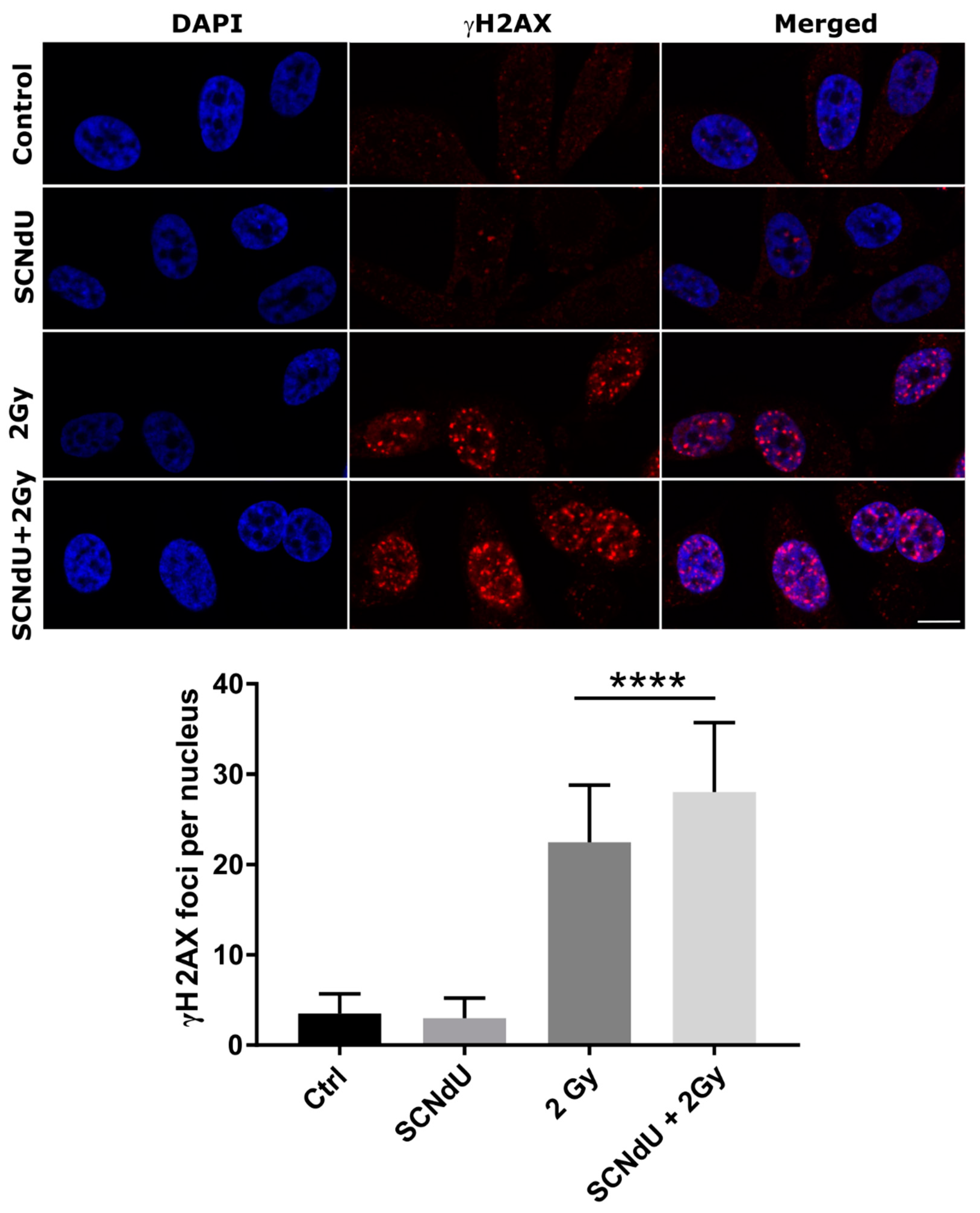Cancers 14 02035 g005