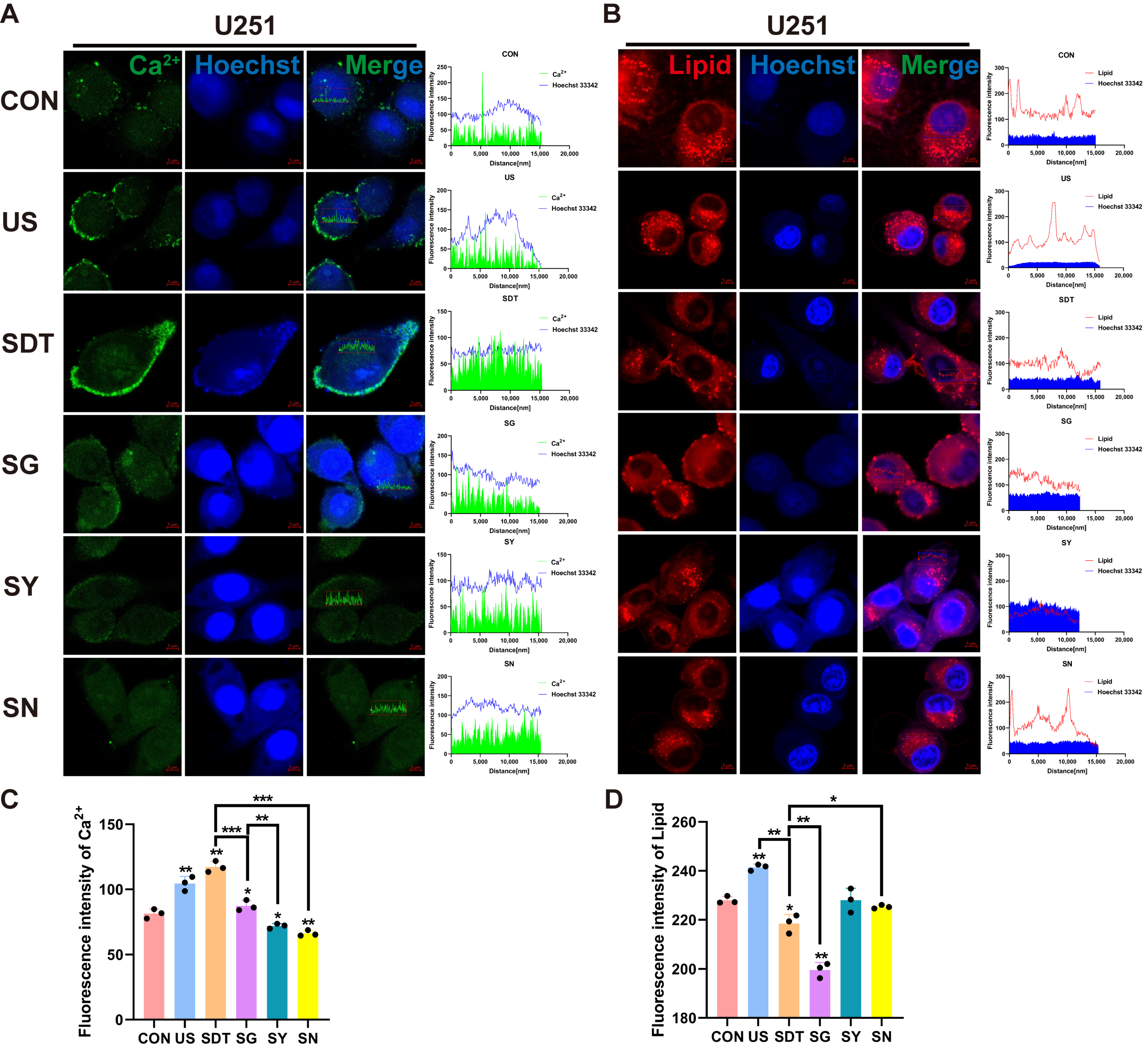 Cancers 14 02036 g003
