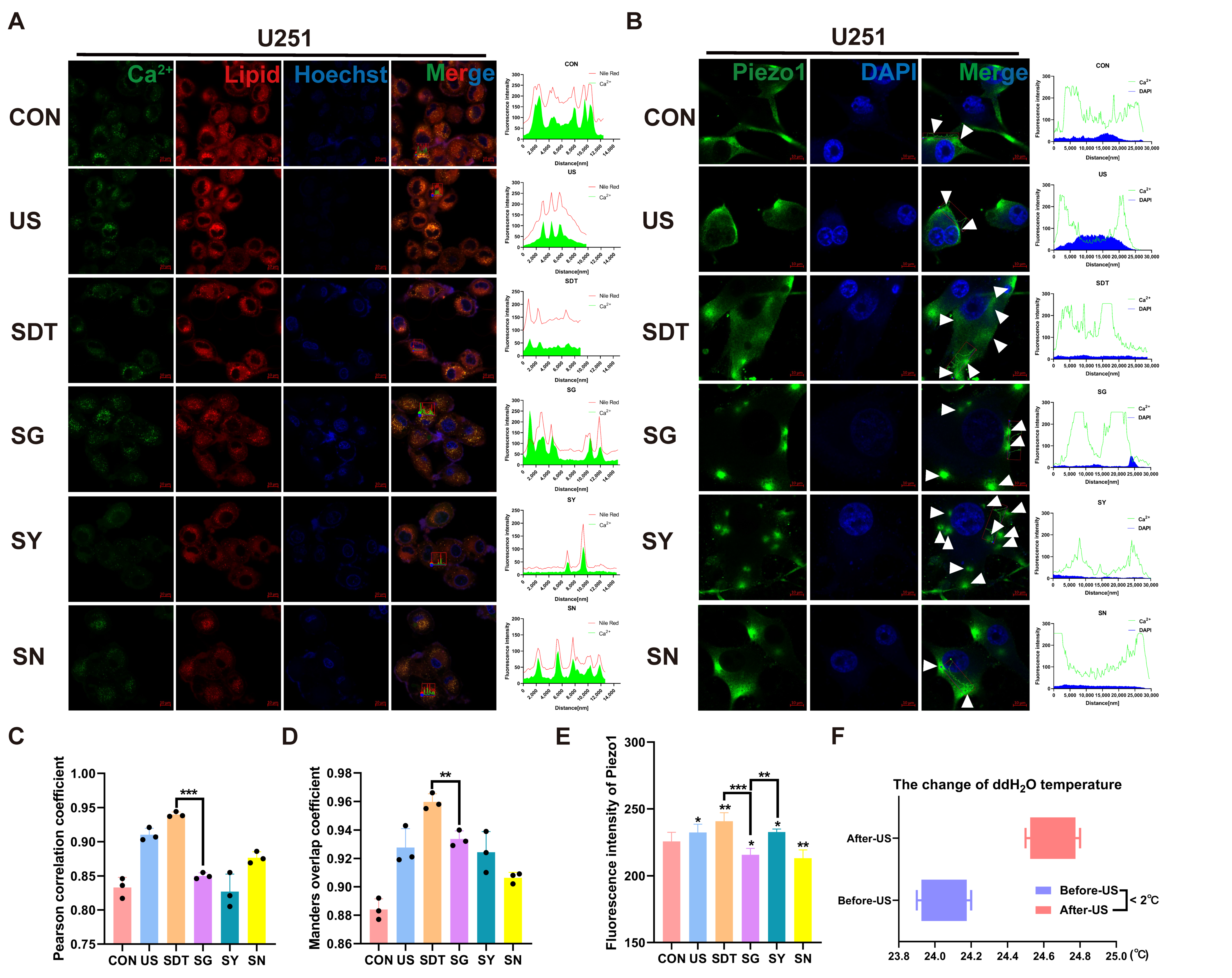 Cancers 14 02036 g004