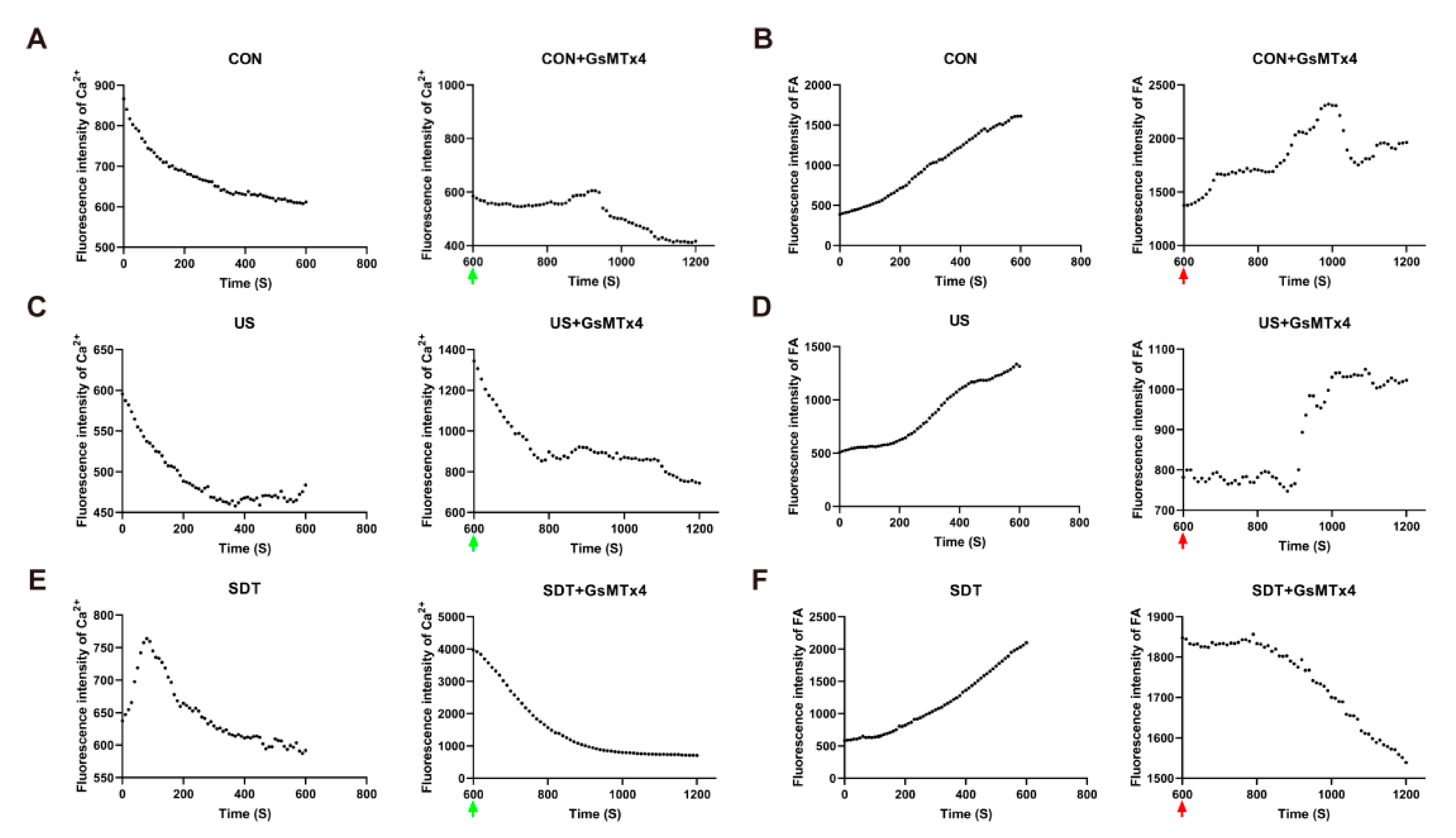 Cancers 14 02036 g005