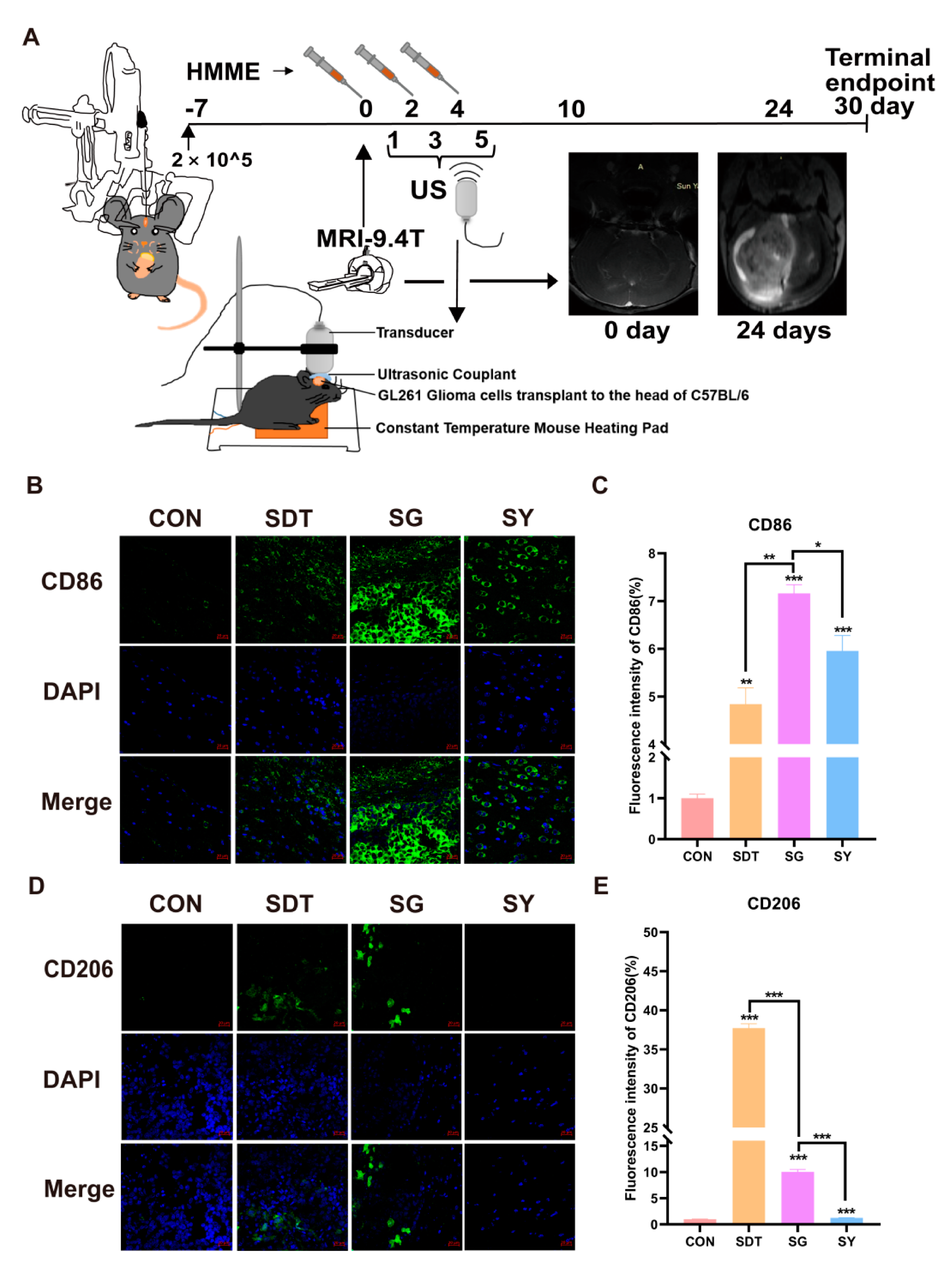 Cancers 14 02036 g008