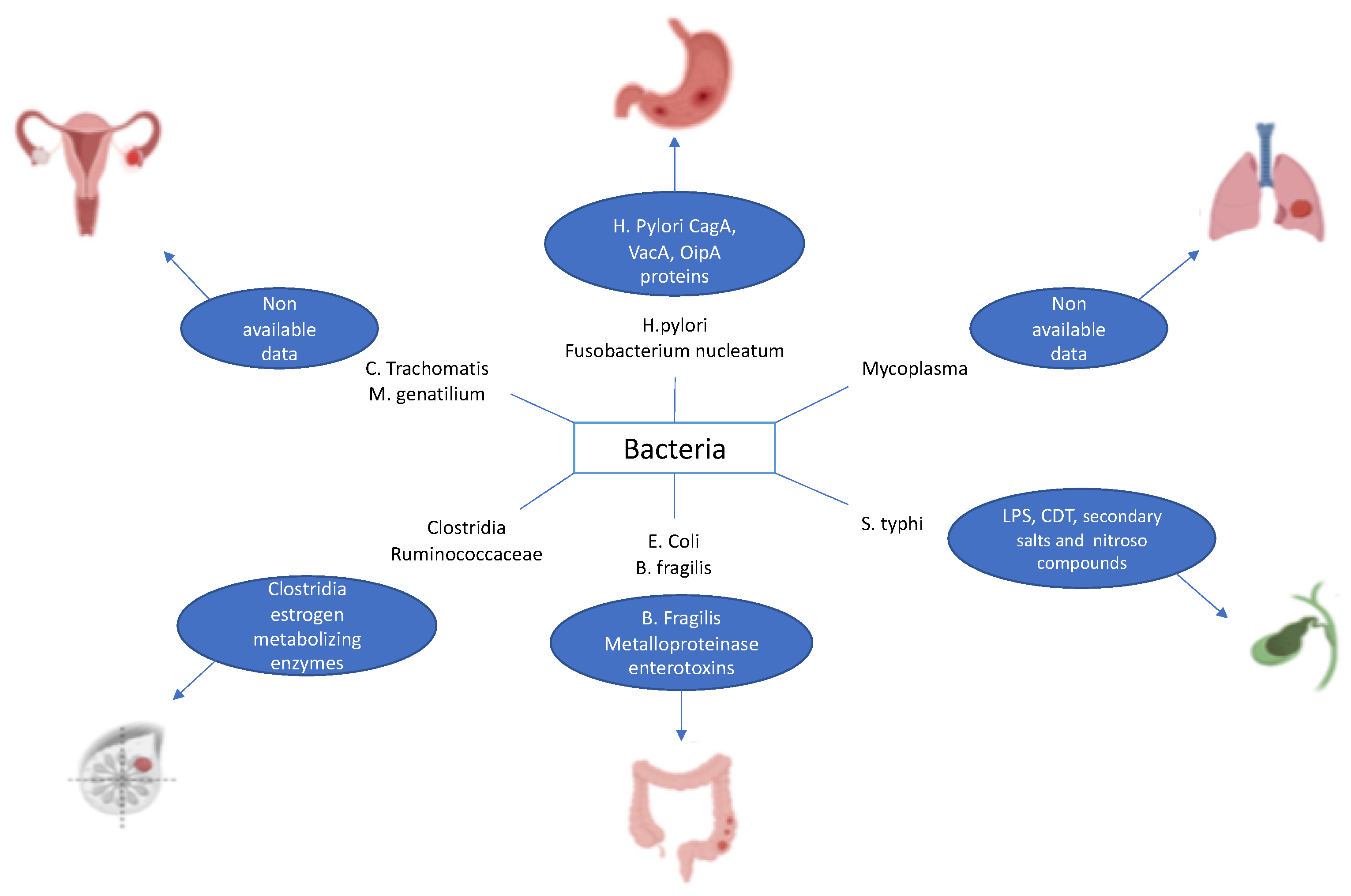 Cancers 14 02039 g001 Cancers 14 02039 g001