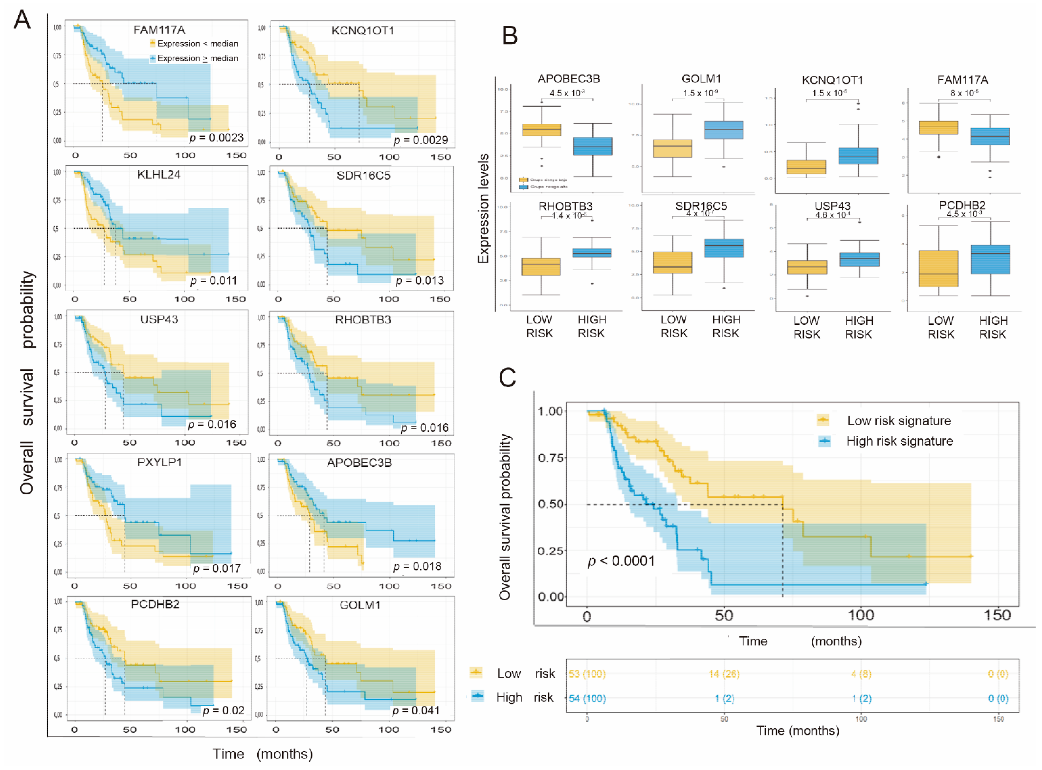 Cancers 14 02054 g003
