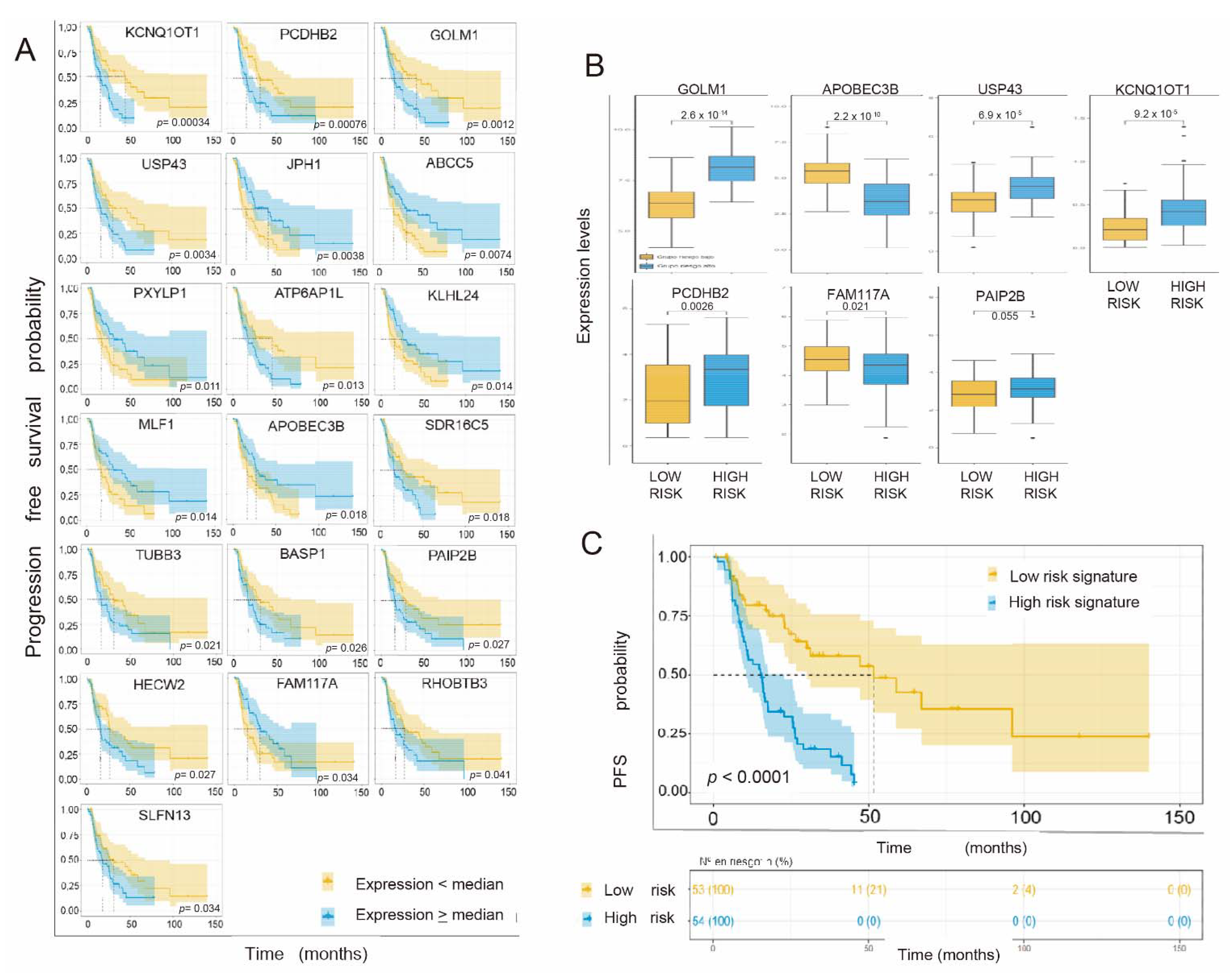 Cancers 14 02054 g004