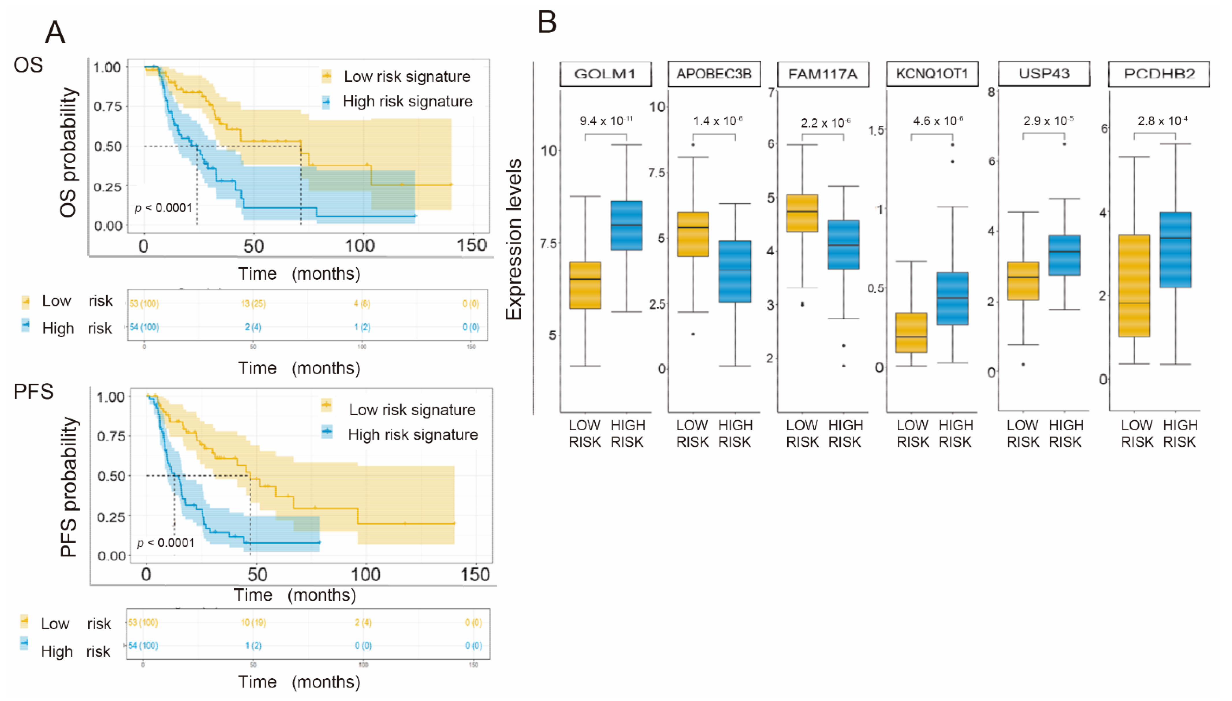 Cancers 14 02054 g005