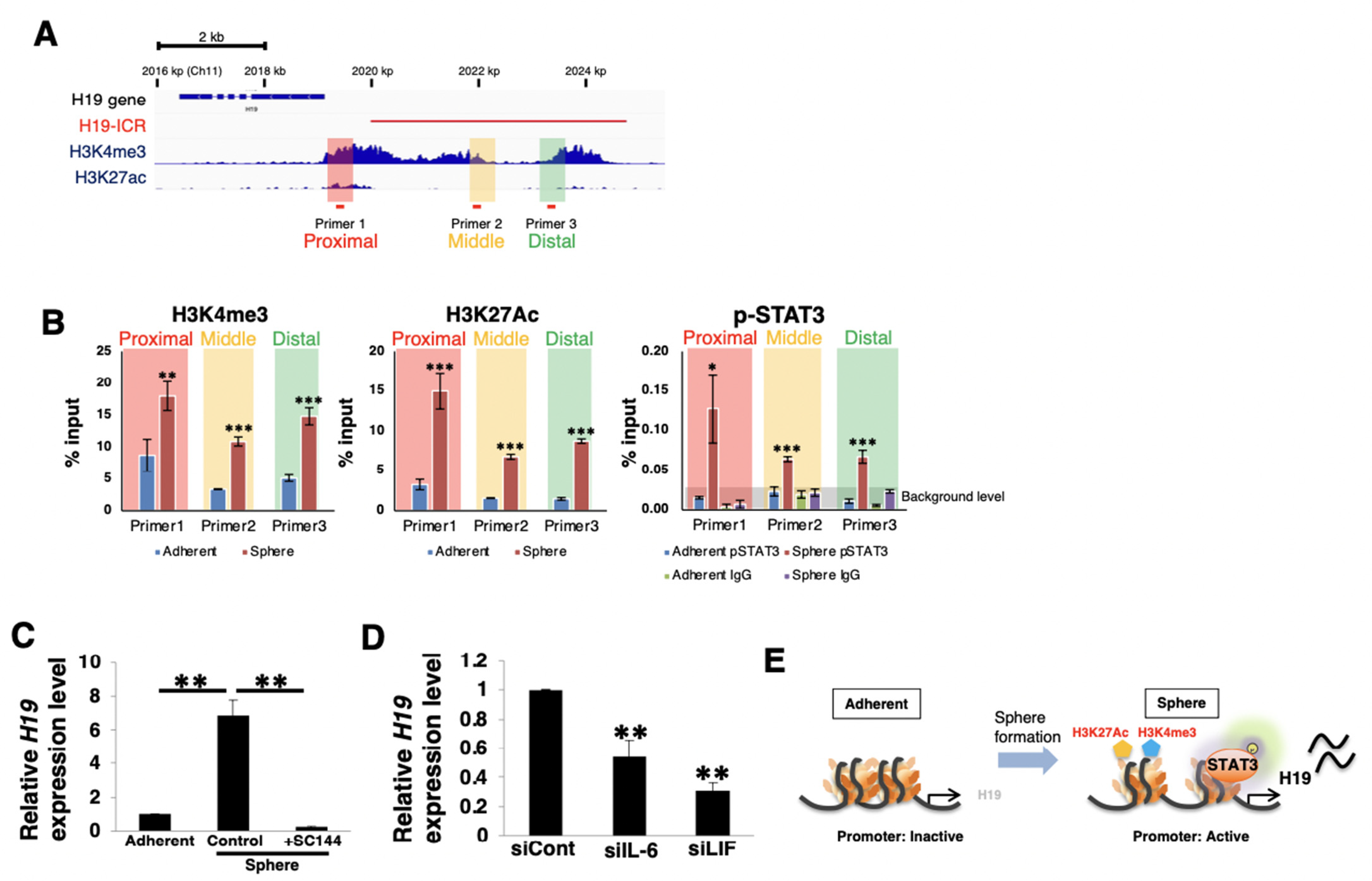 Cancers 14 02055 g006