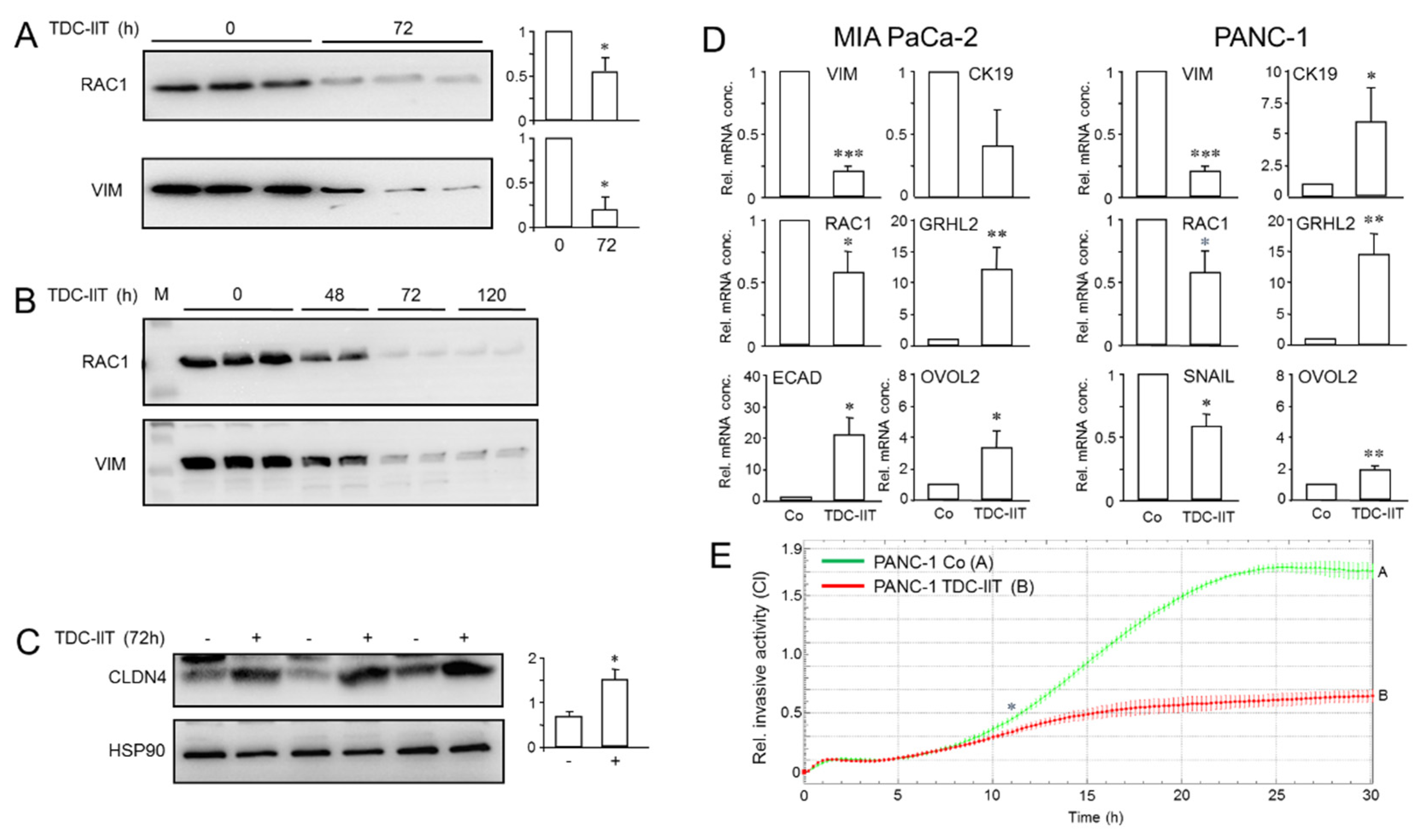 Cancers 14 02057 g006