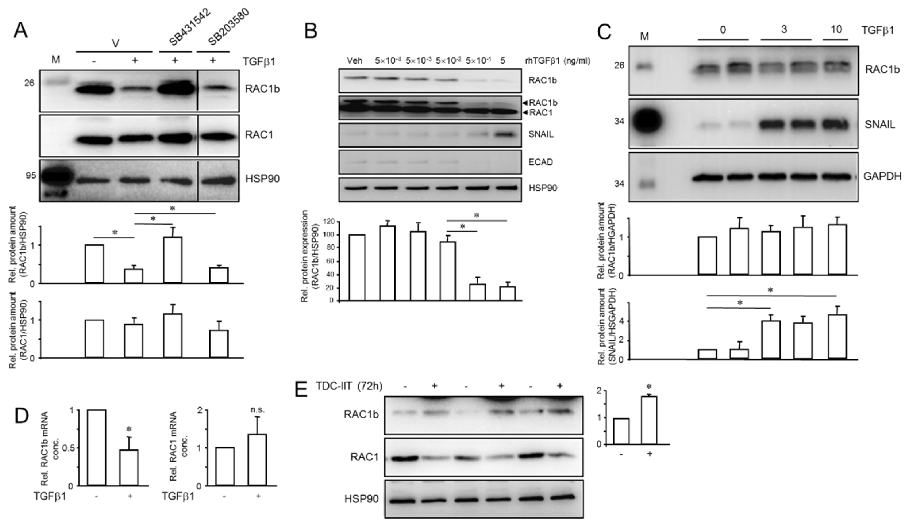 Cancers 14 02057 g007