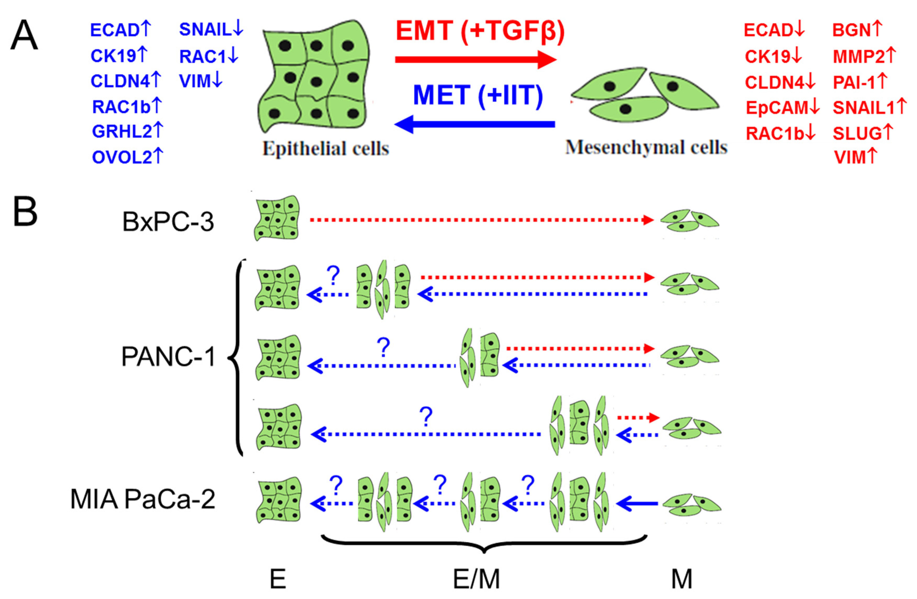 Cancers 14 02057 g008