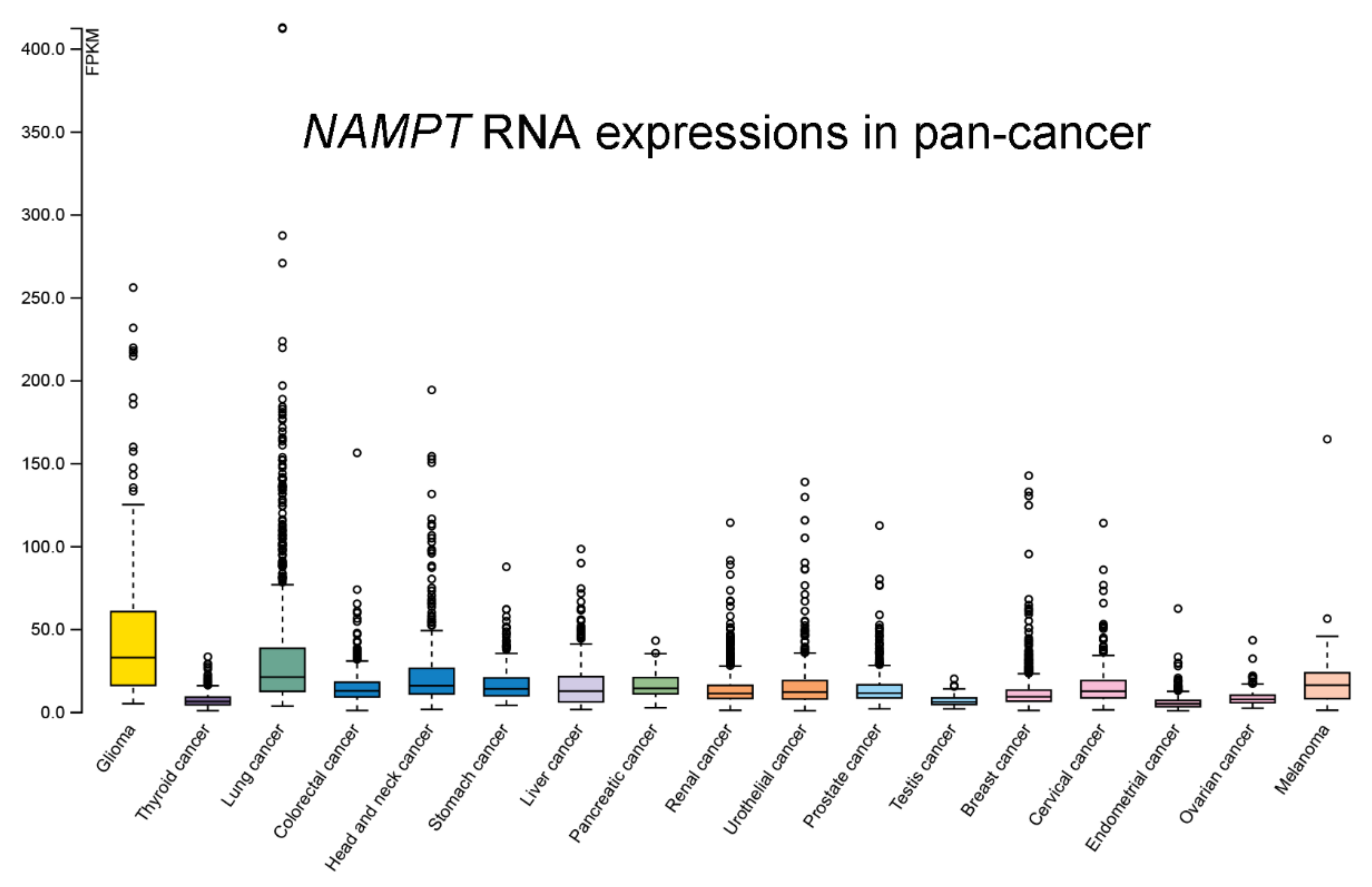 Cancers 14 02059 g005 Cancers 14 02059 g005