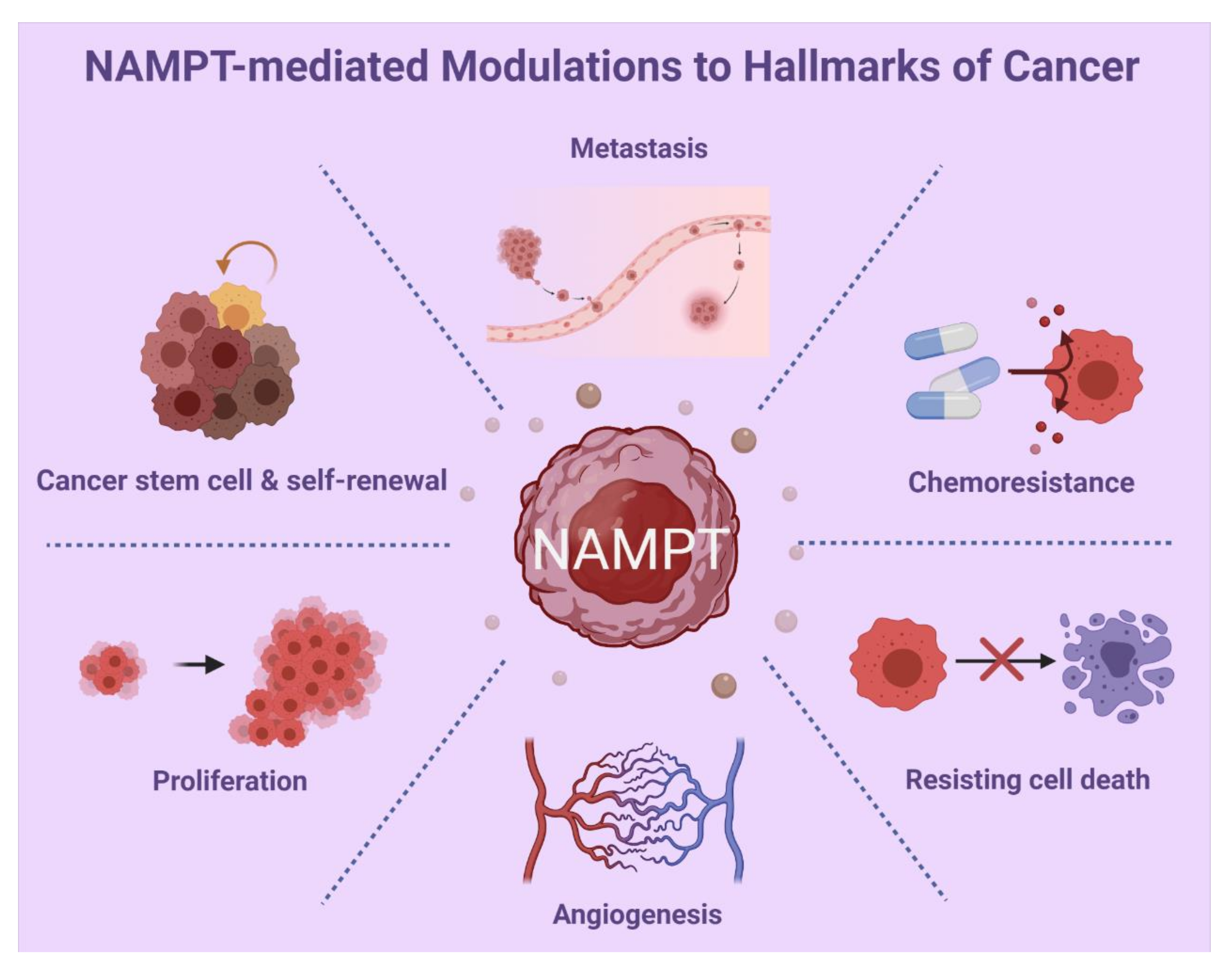 Cancers 14 02059 g006 Cancers 14 02059 g006