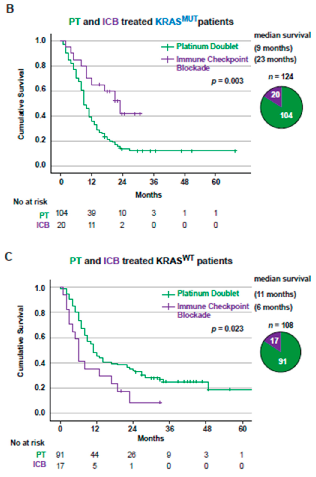 Cancers 14 02063 g003b