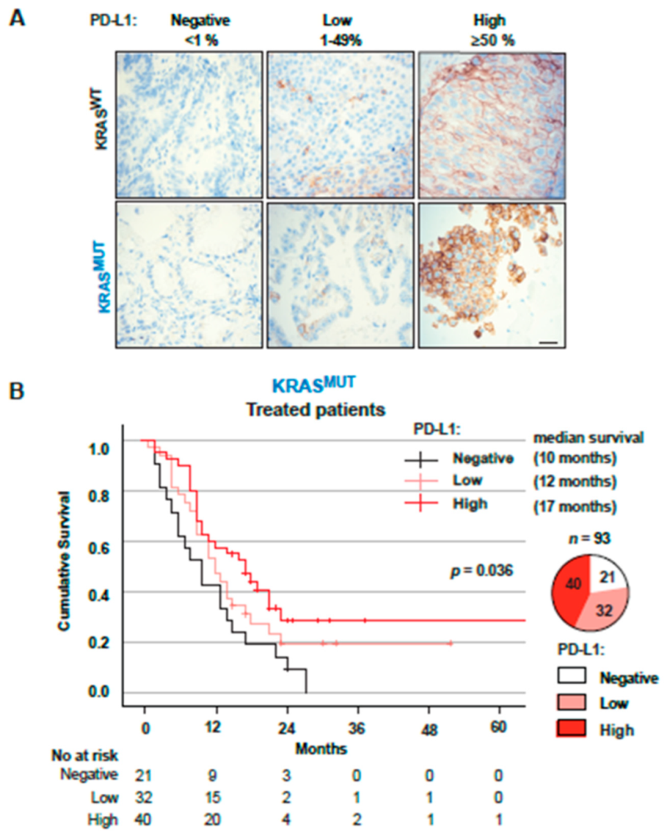 Cancers 14 02063 g004a