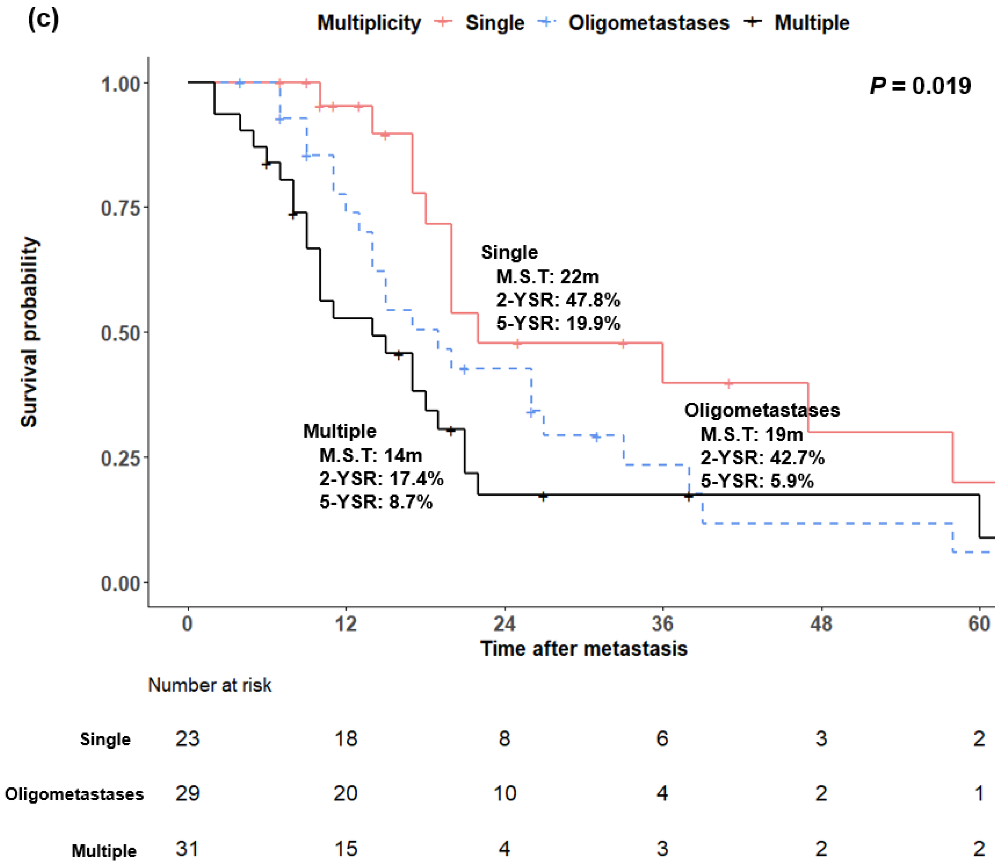 Cancers 14 02067 g003b Cancers 14 02067 g003b