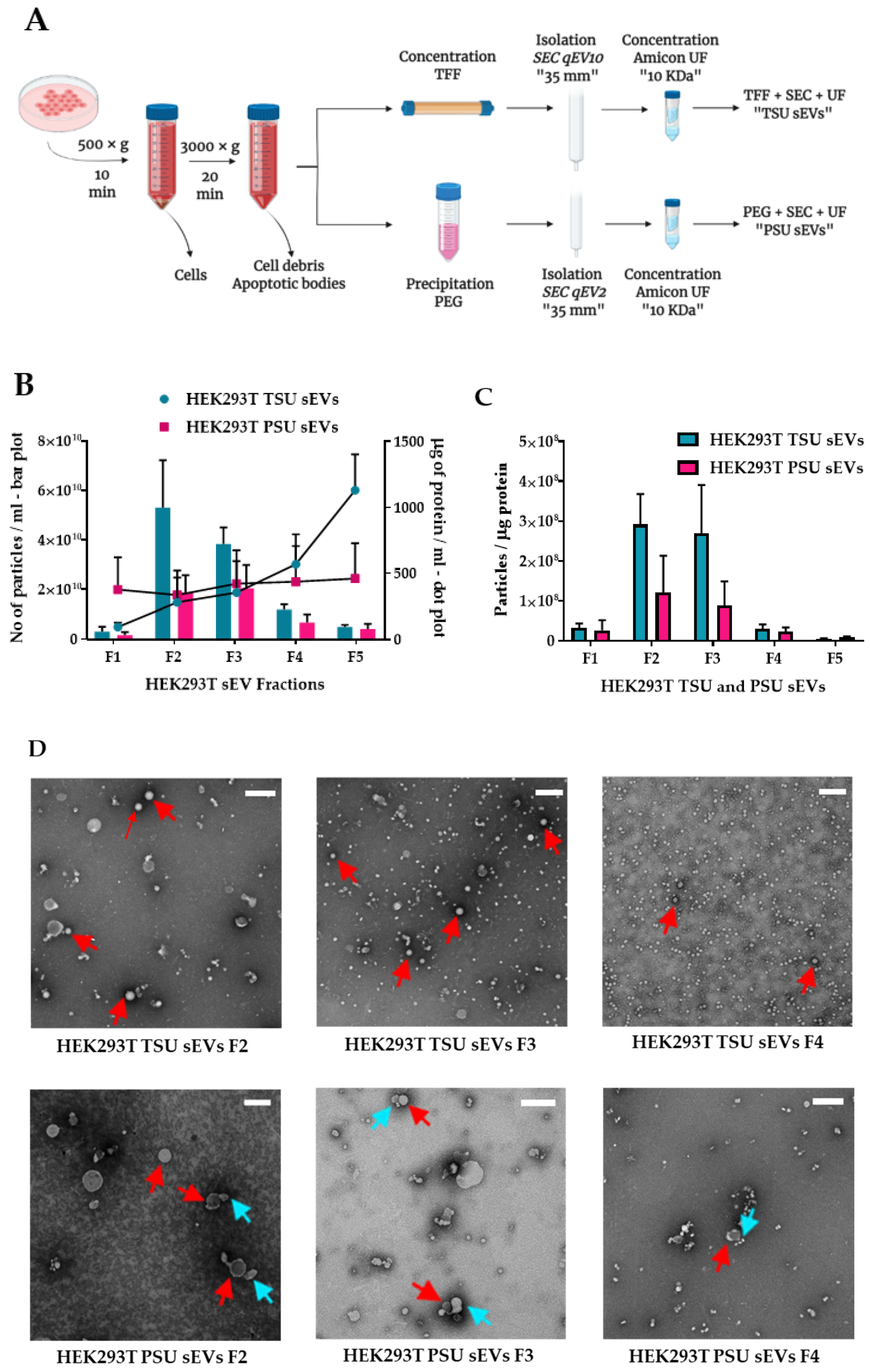 Cancers 14 02068 g001a