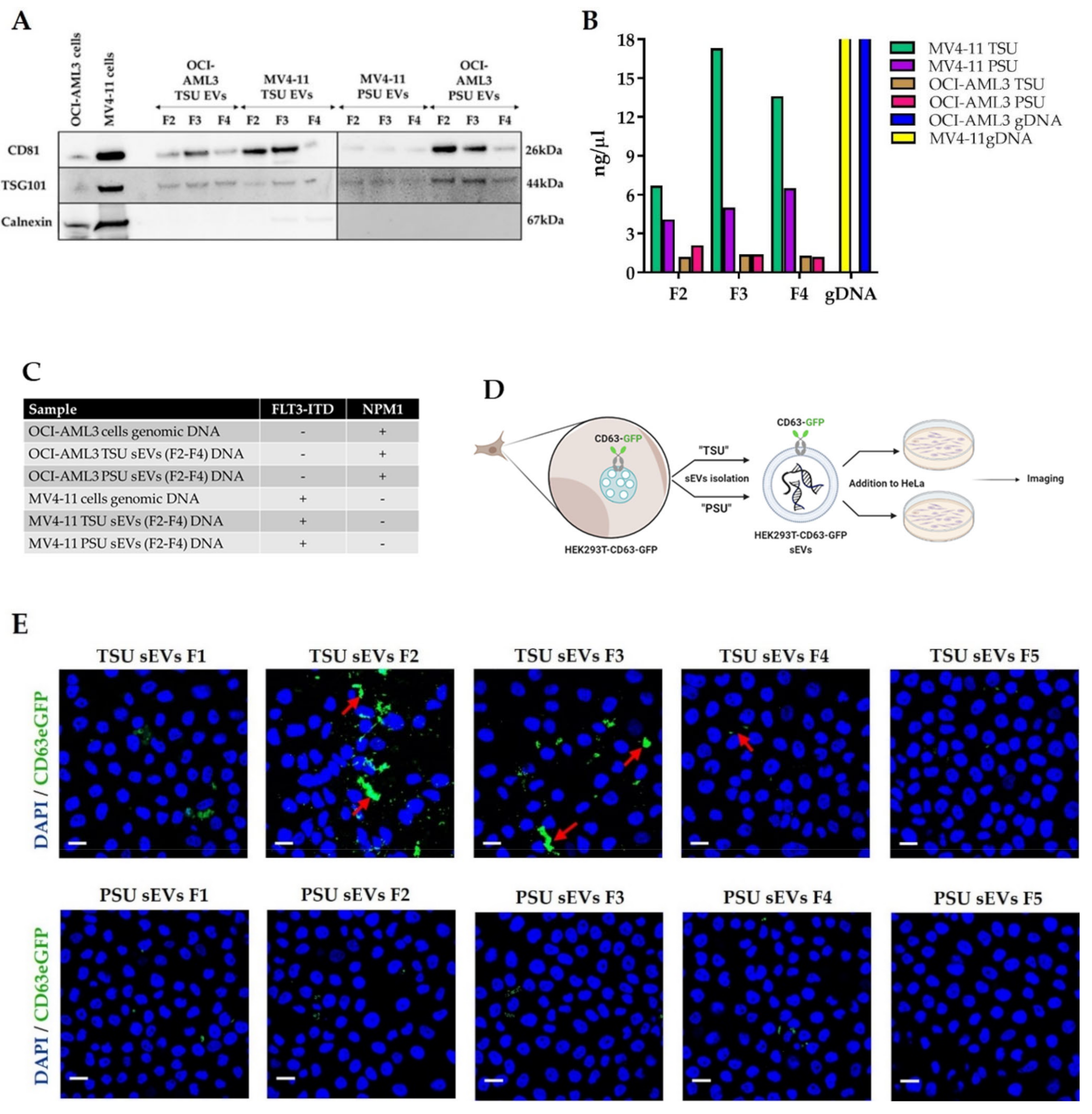 Cancers 14 02068 g002a