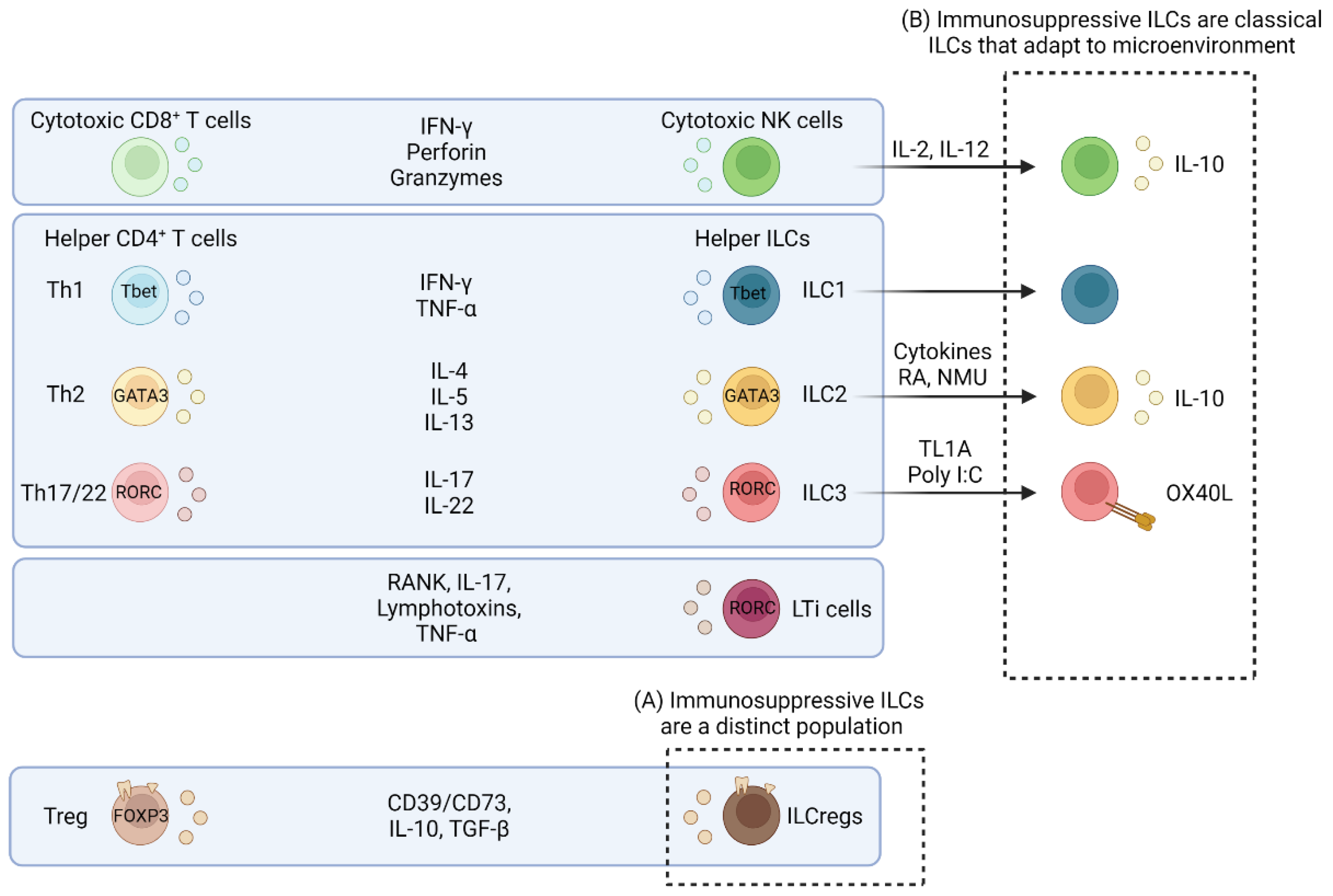 Cancers 14 02071 g001