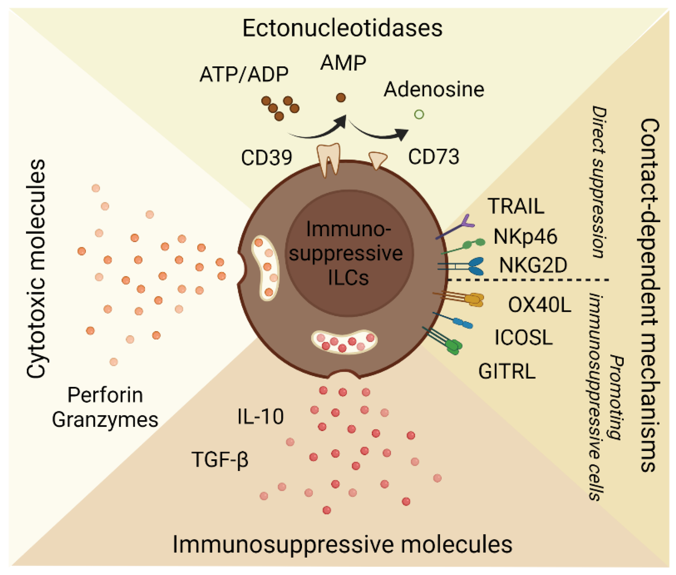 Cancers 14 02071 g002