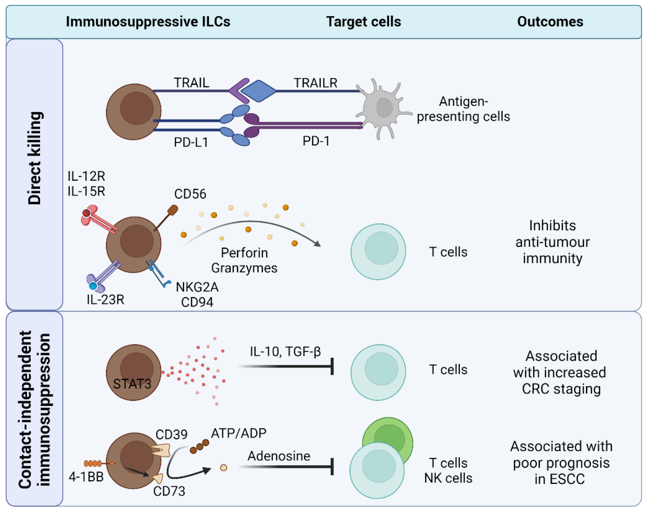 Cancers 14 02071 g003