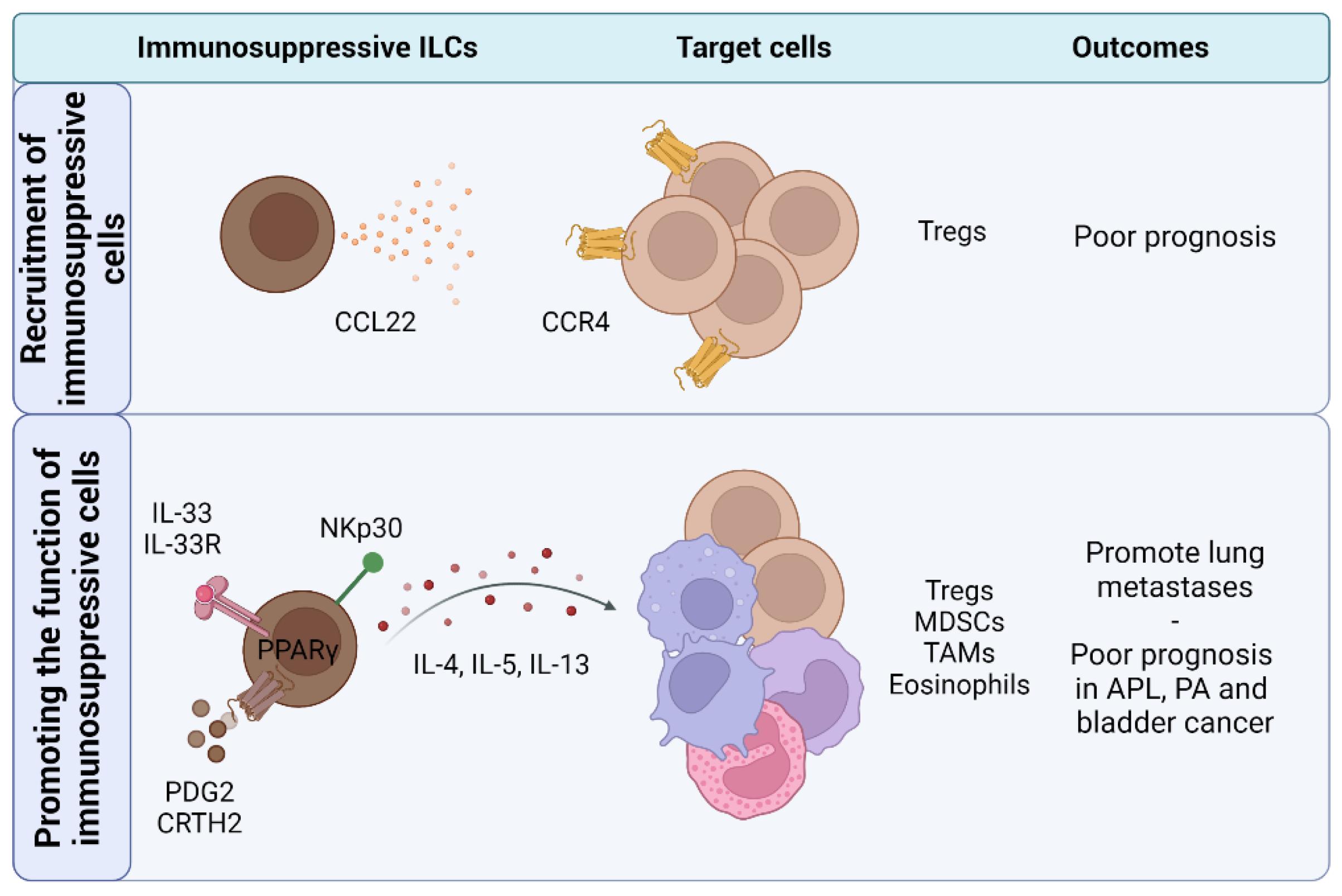 Cancers 14 02071 g004