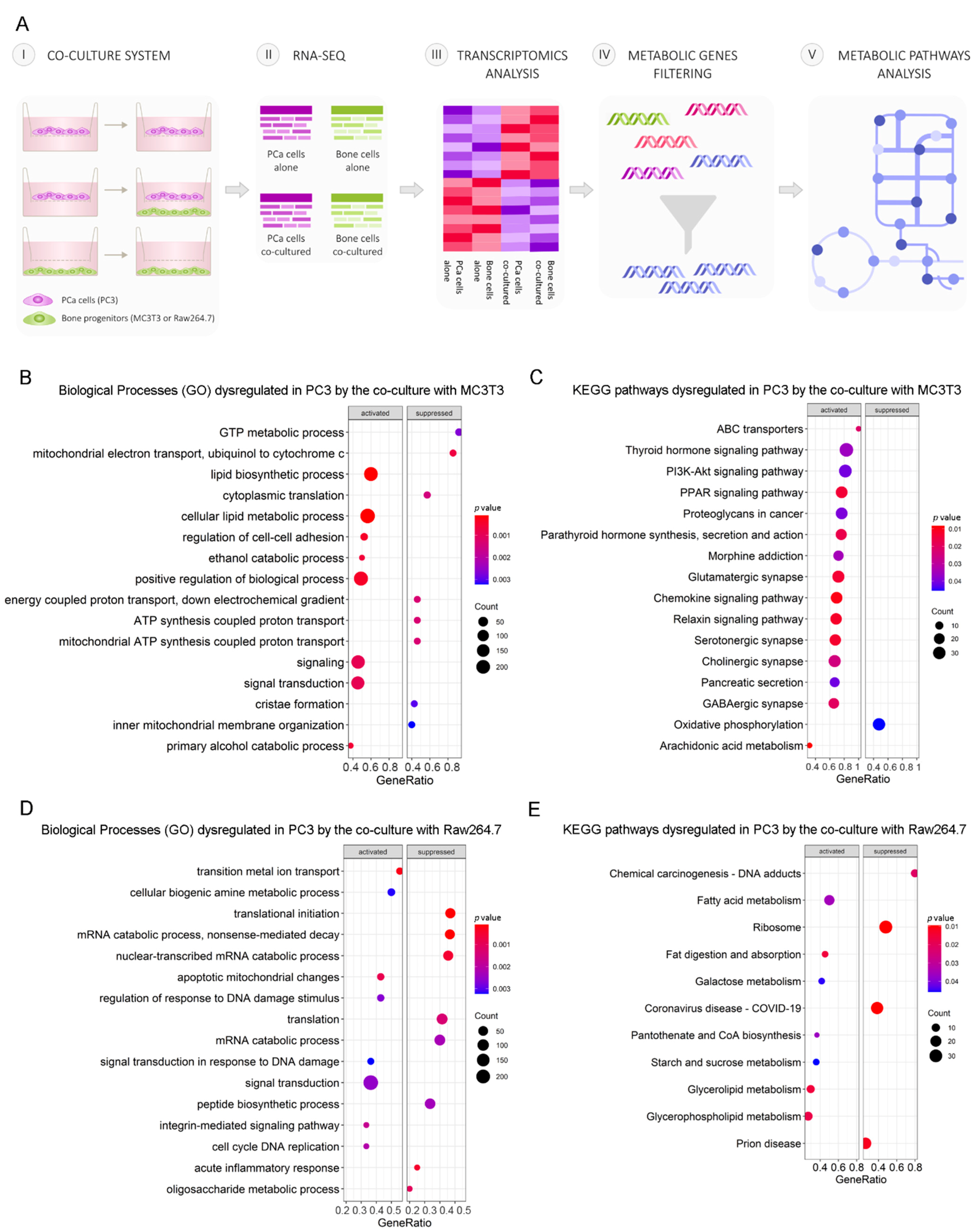Cancers 14 02083 g001