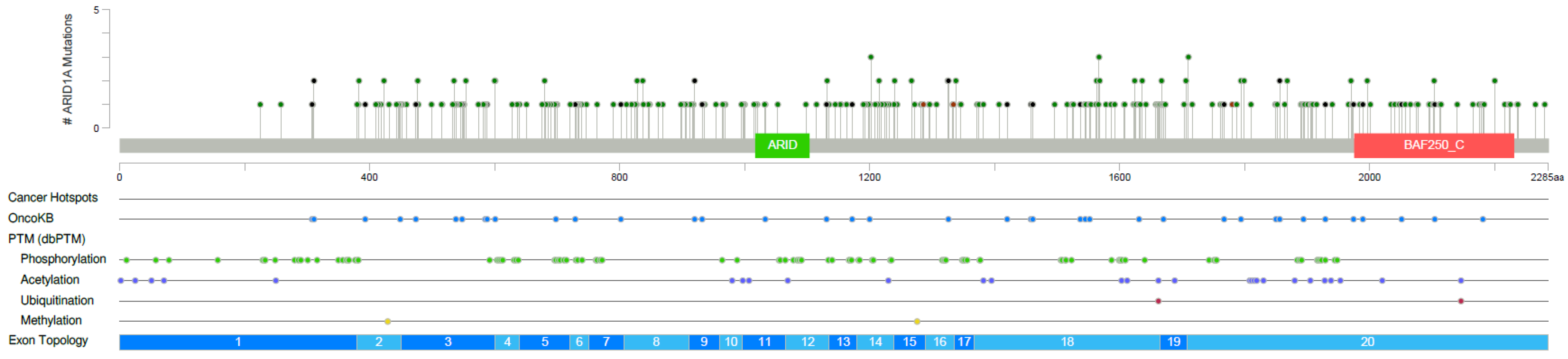 Cancers 14 02090 g004