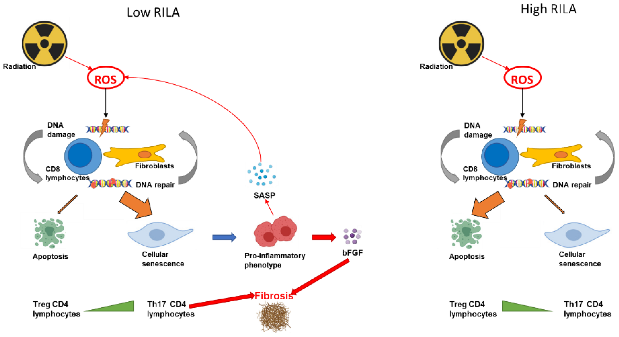 Cancers 14 02097 g002 Cancers 14 02097 g002