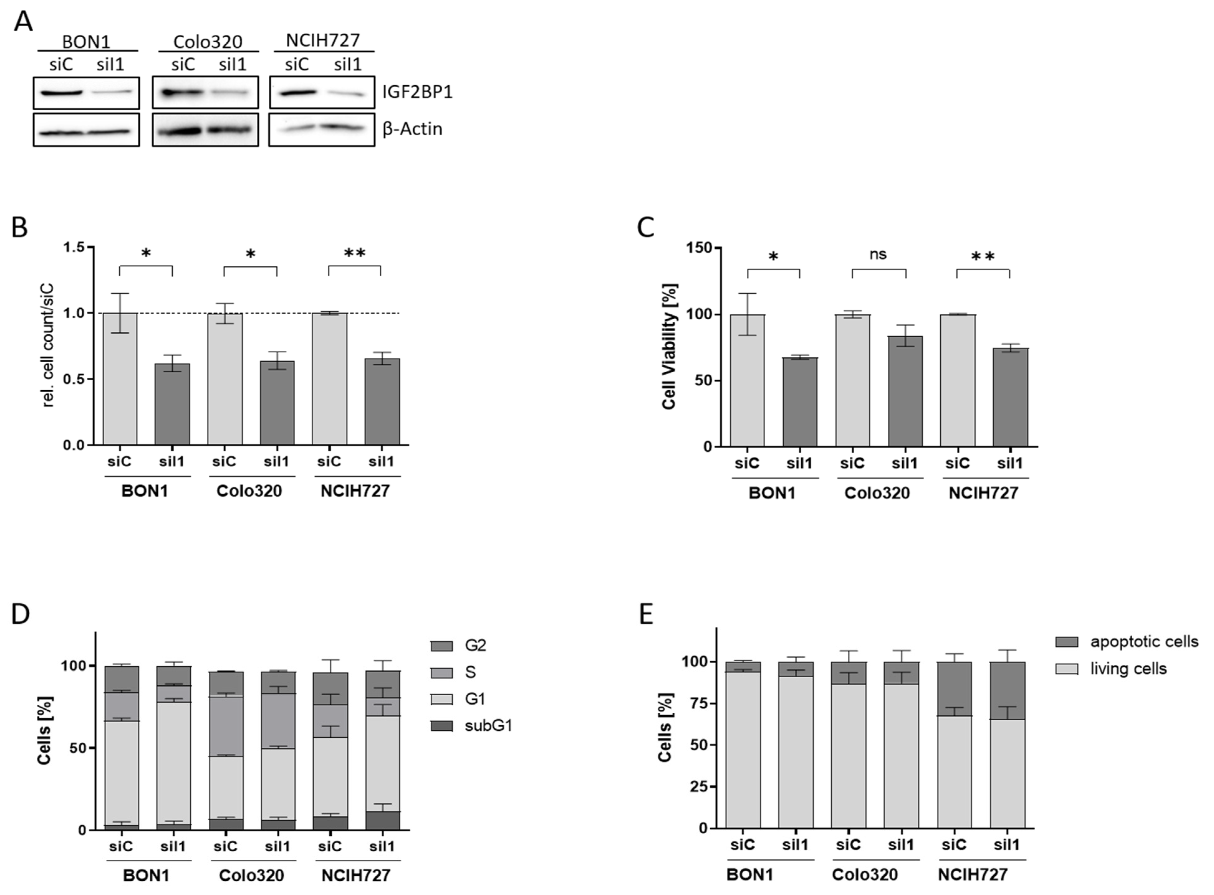Cancers 14 02121 g002