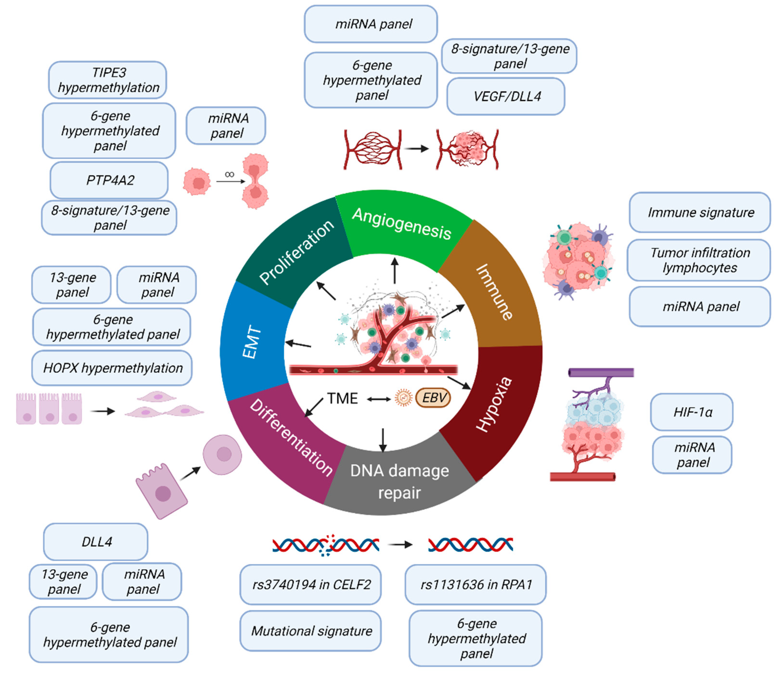 Cancers 14 02122 g002