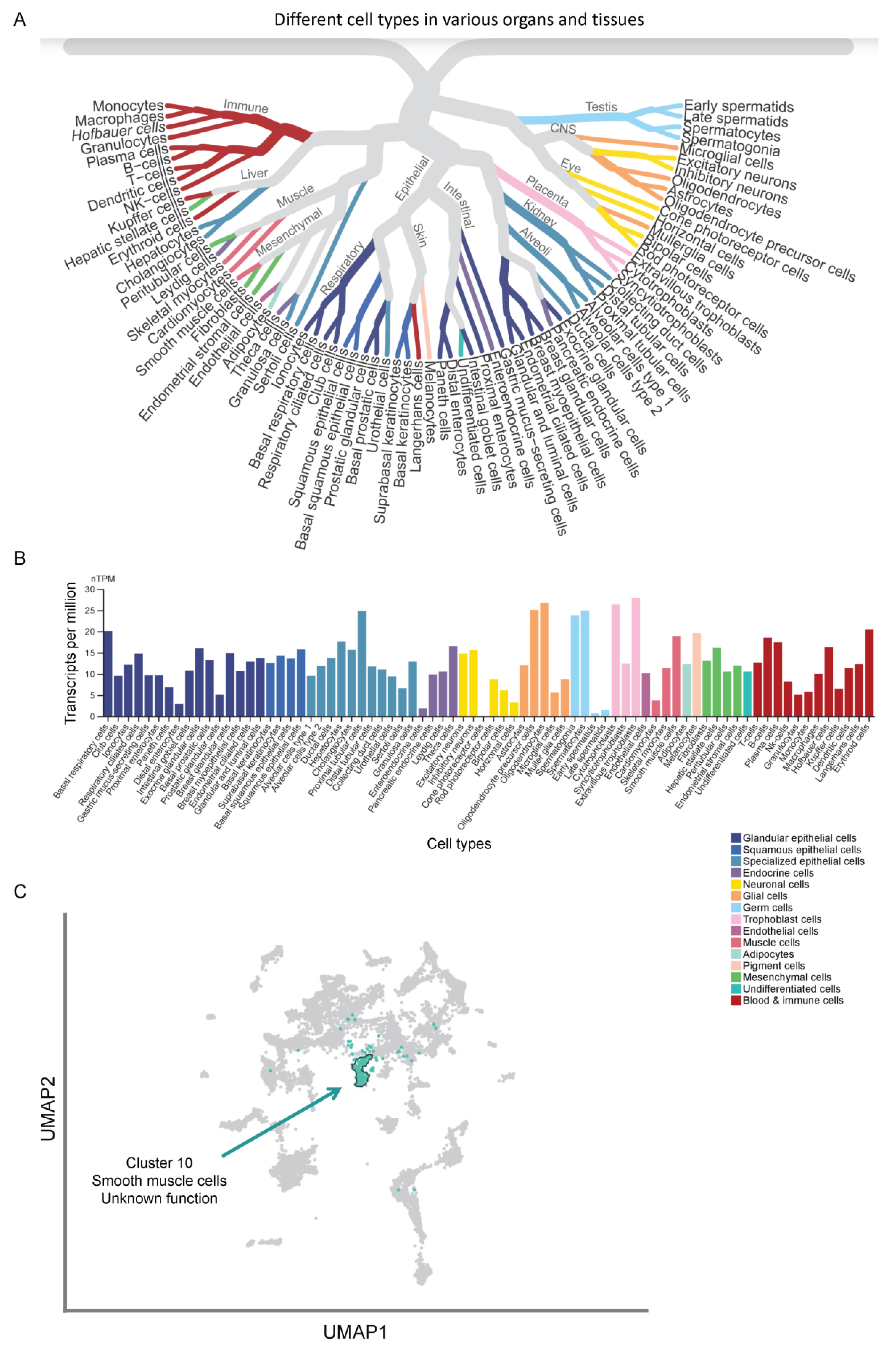 Cancers 14 02133 g001 Cancers 14 02133 g001