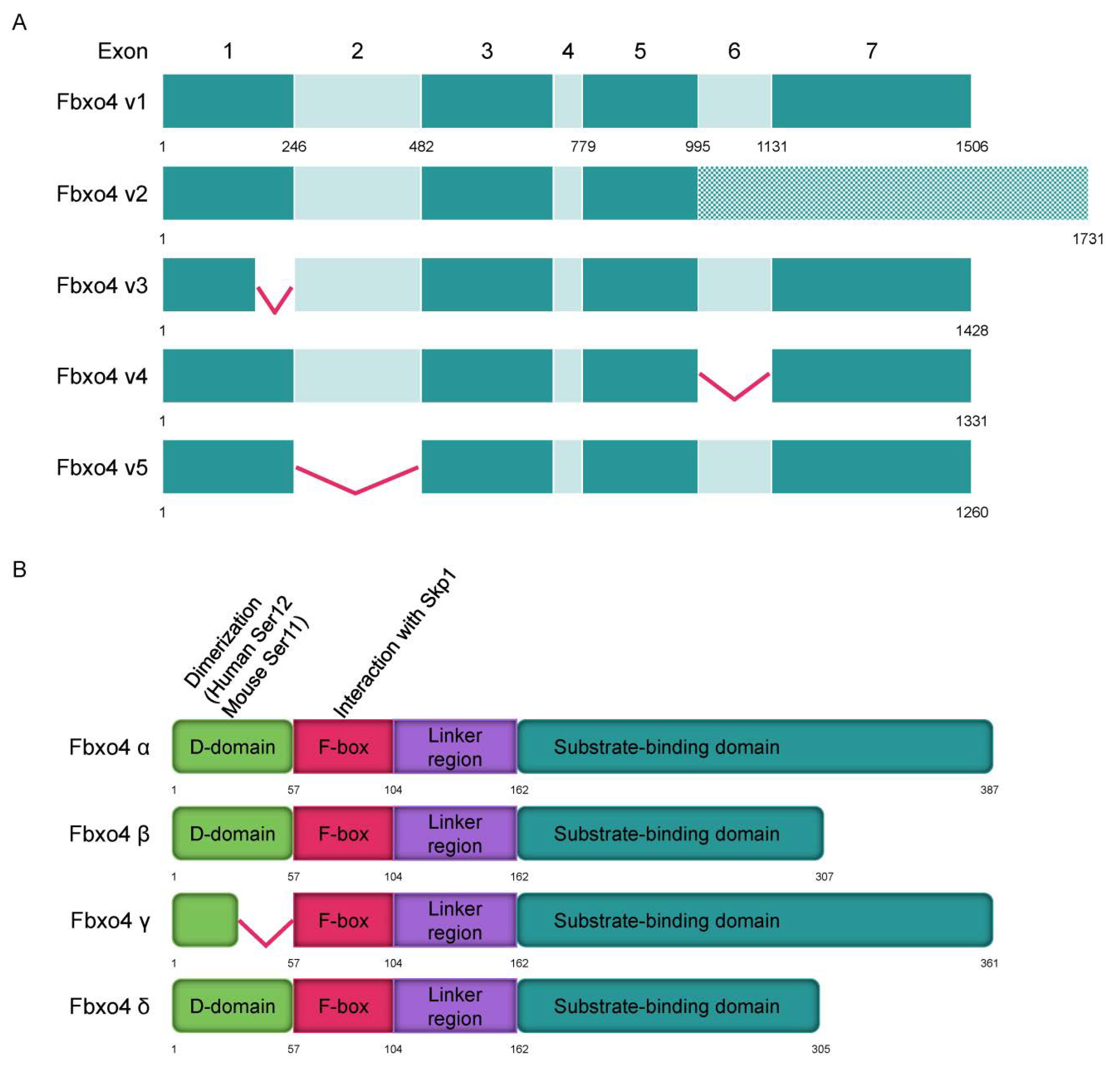 Cancers 14 02133 g002 Cancers 14 02133 g002