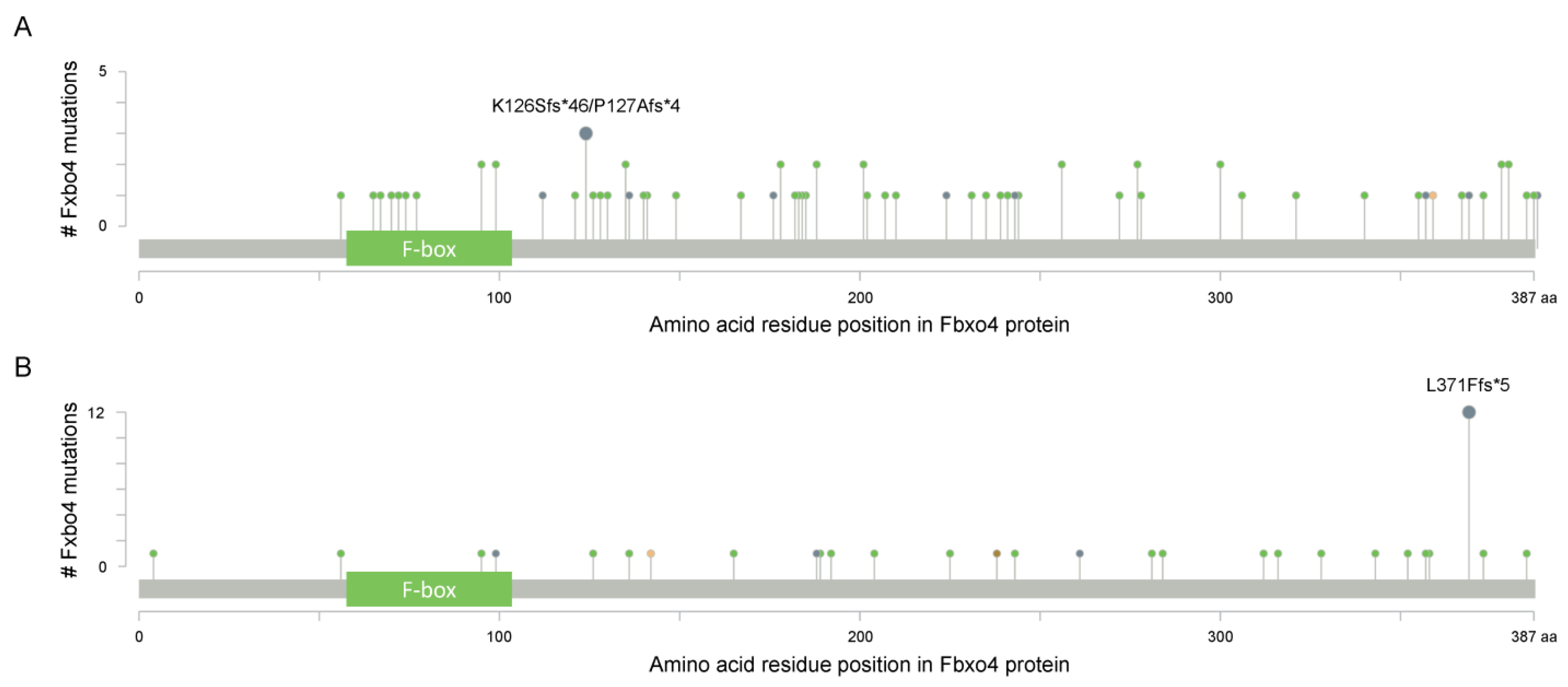 Cancers 14 02133 g003 Cancers 14 02133 g003