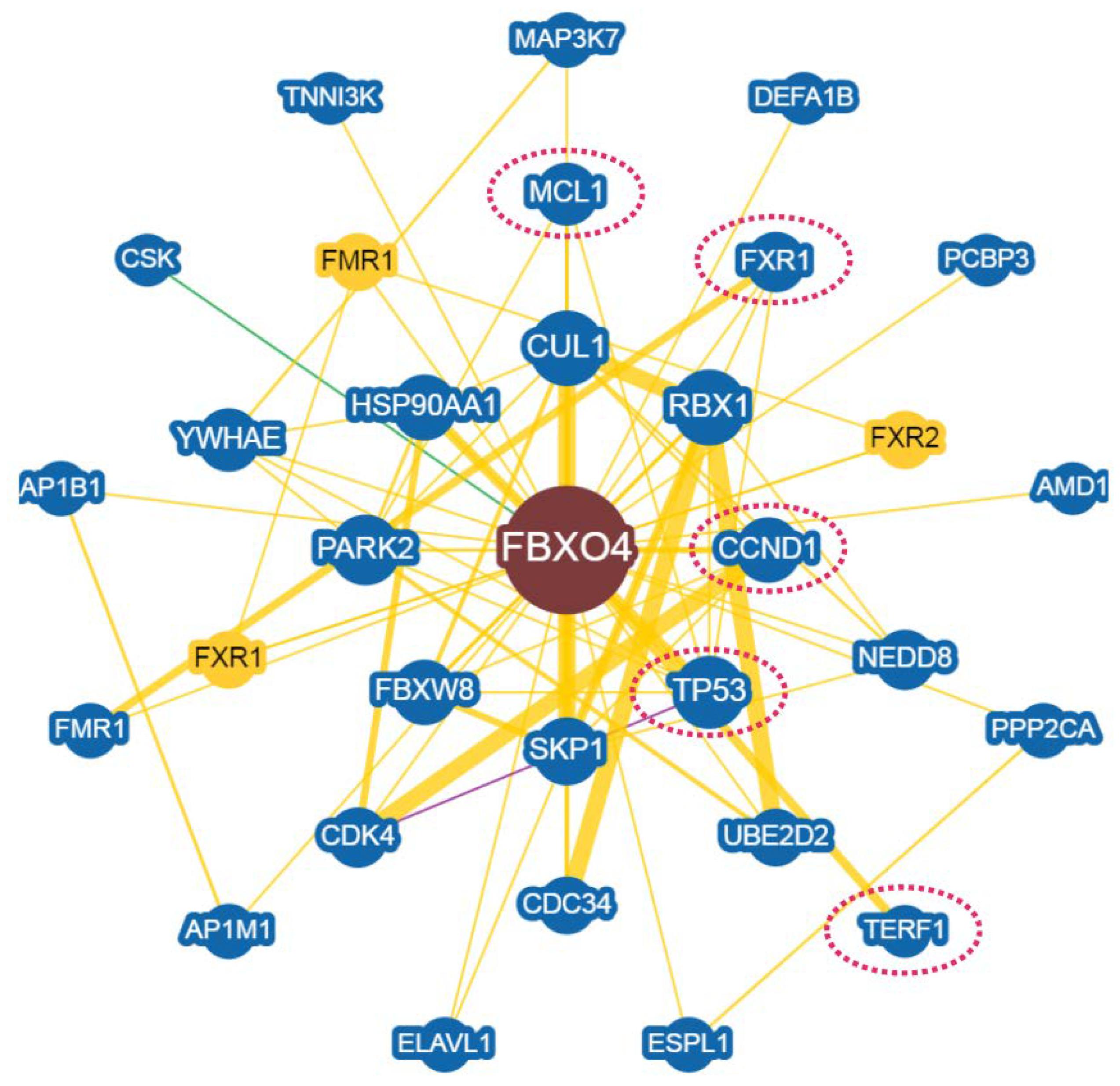 Cancers 14 02133 g004 Cancers 14 02133 g004