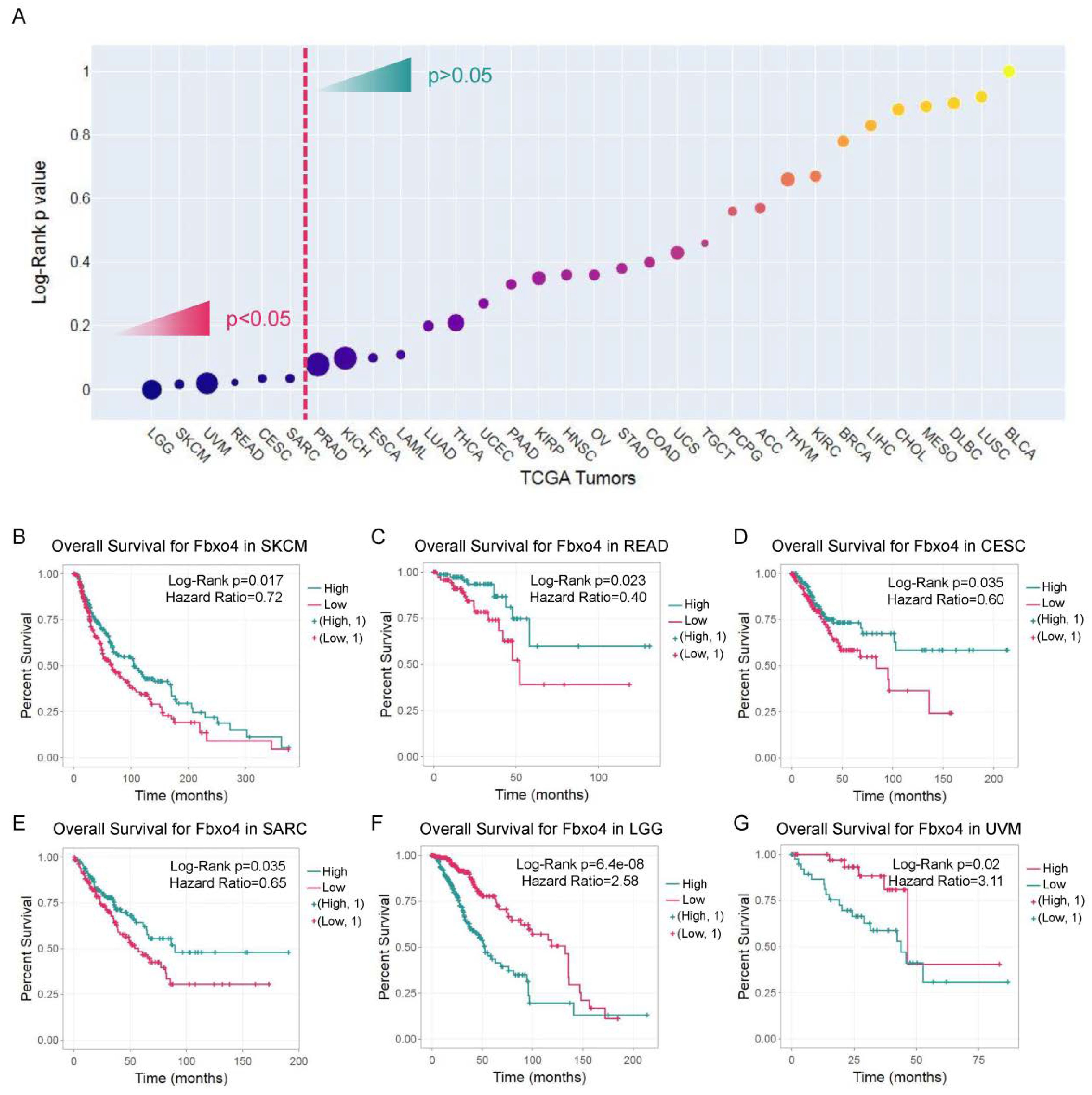 Cancers 14 02133 g006 Cancers 14 02133 g006