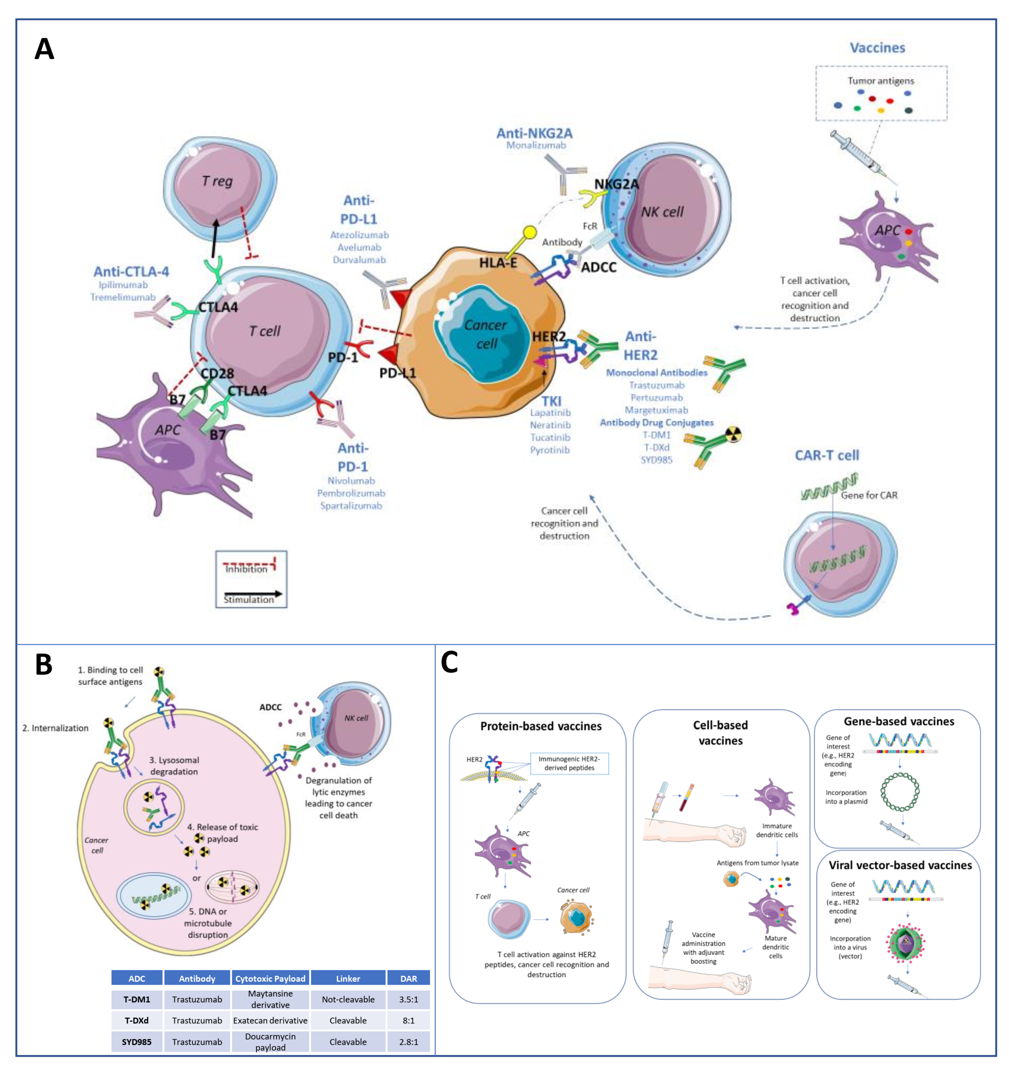 Cancers 14 02136 g001