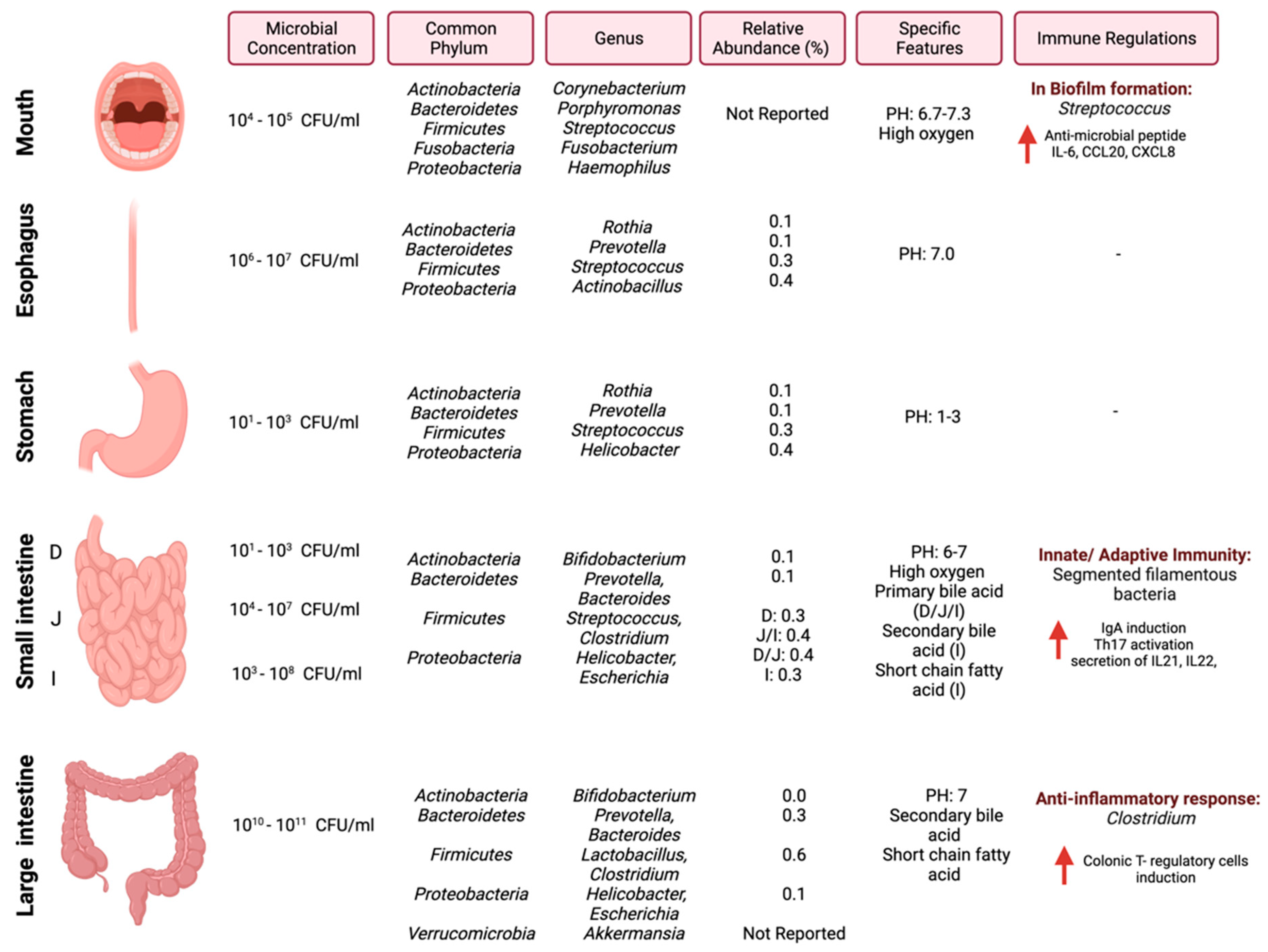 Cancers 14 02140 g001