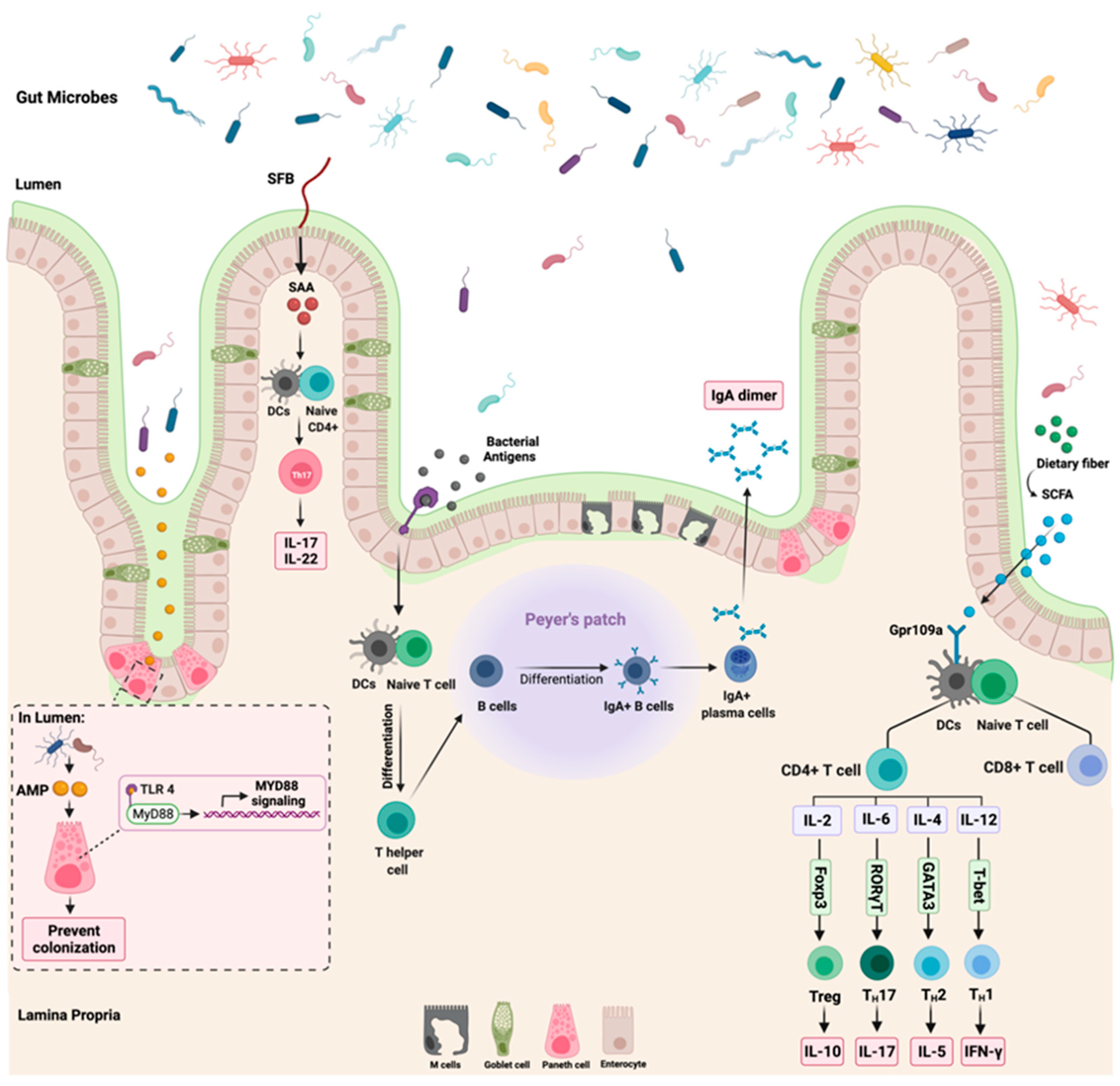 Cancers 14 02140 g002