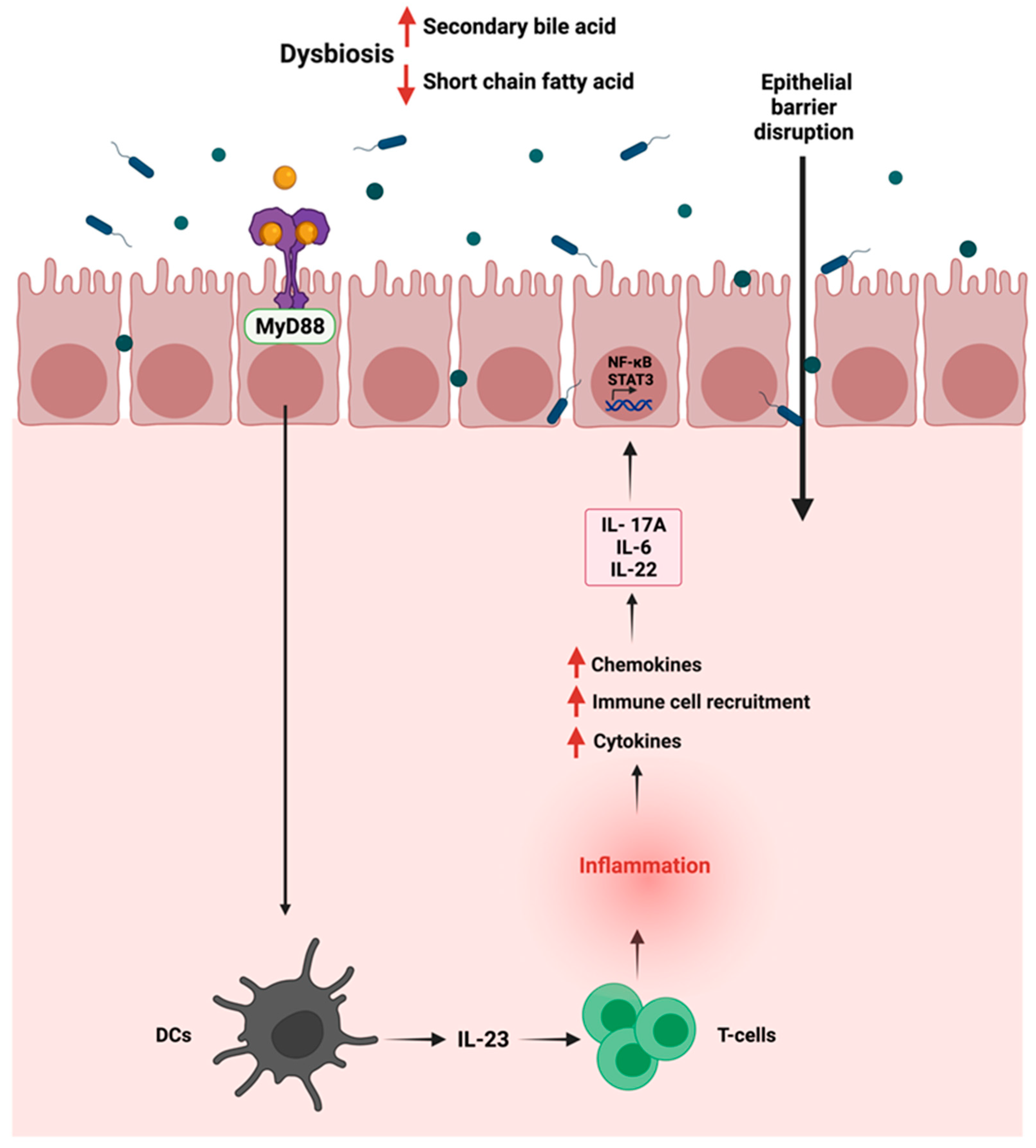 Cancers 14 02140 g003