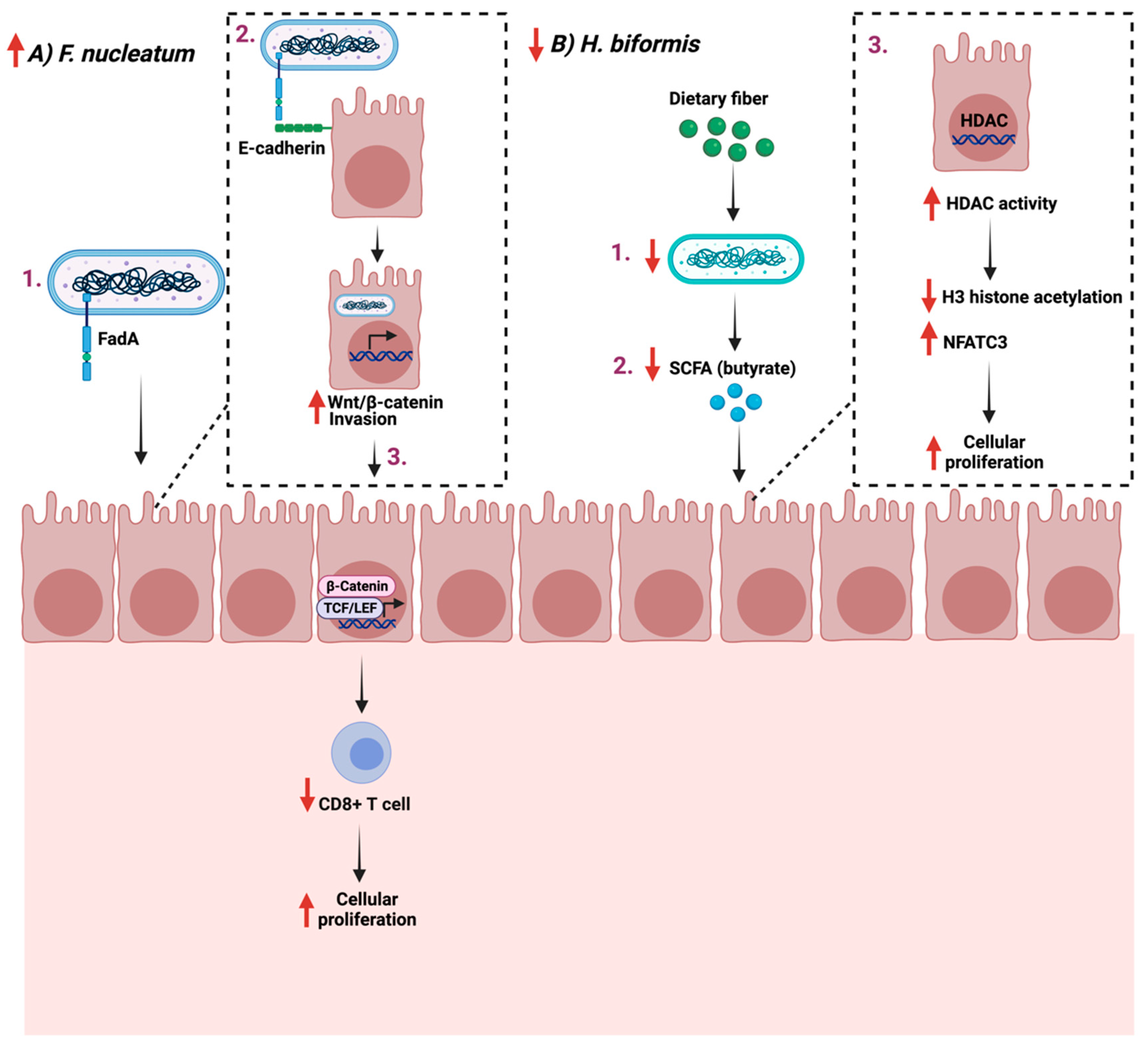 Cancers 14 02140 g004