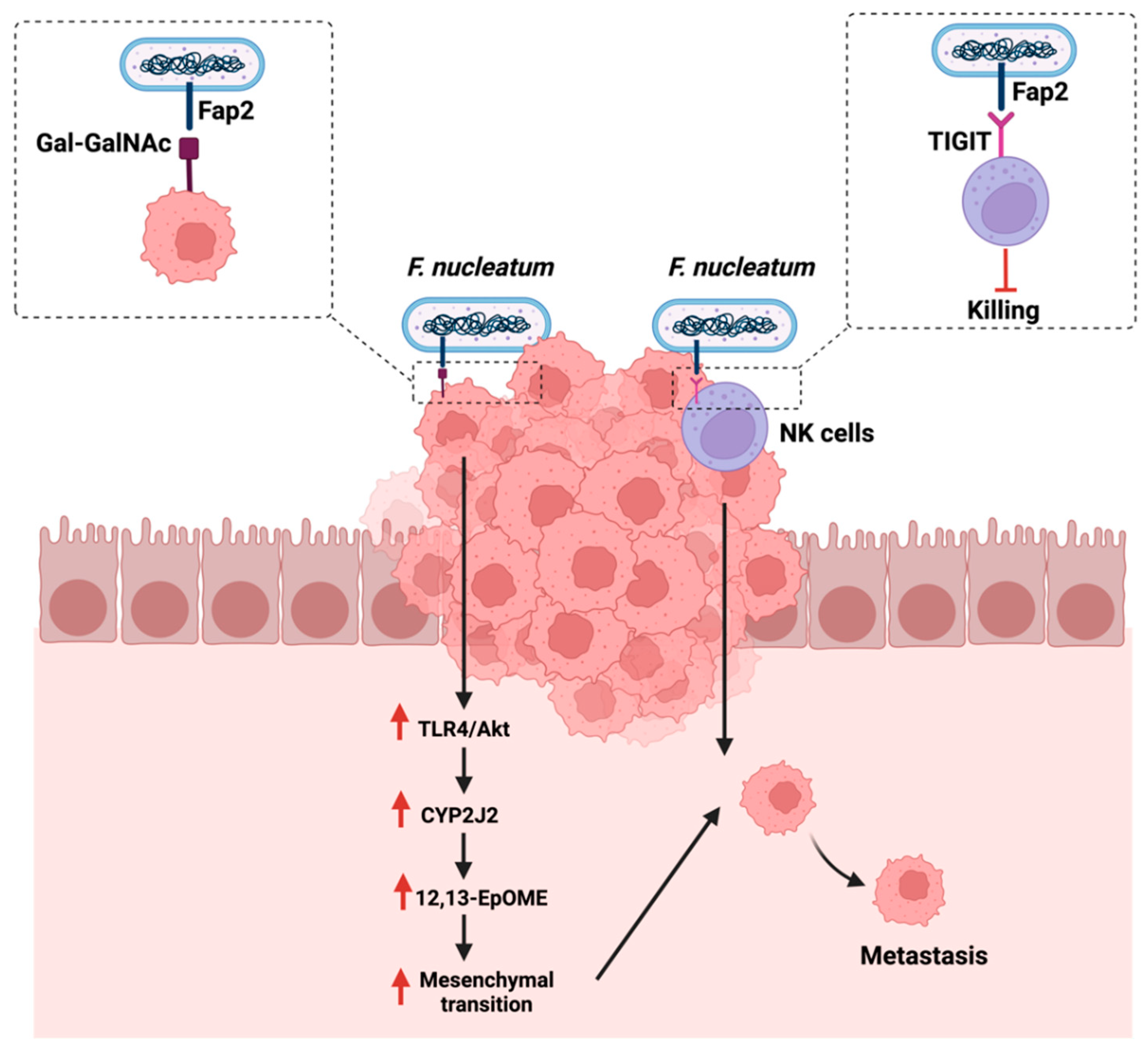 Cancers 14 02140 g005