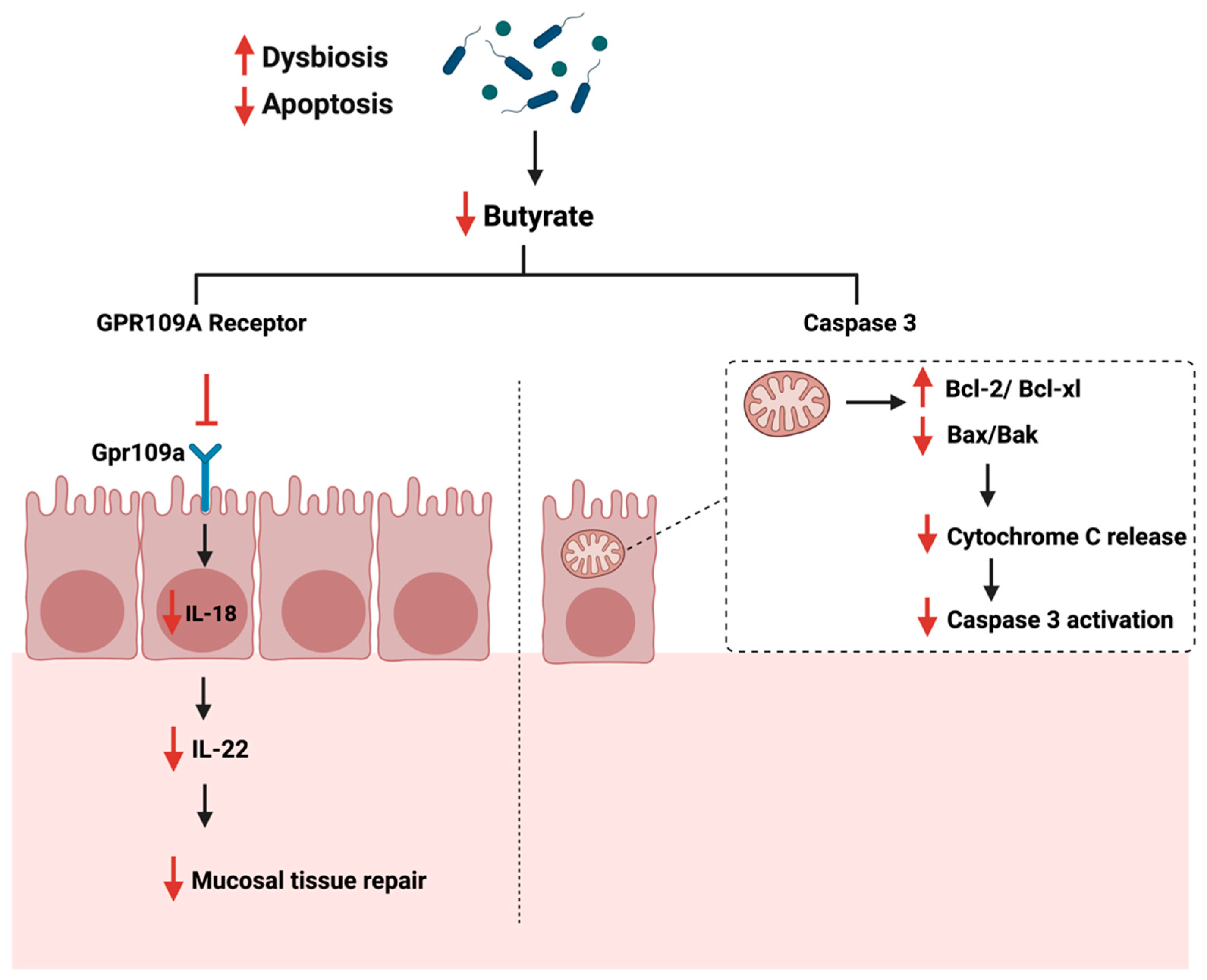 Cancers 14 02140 g006