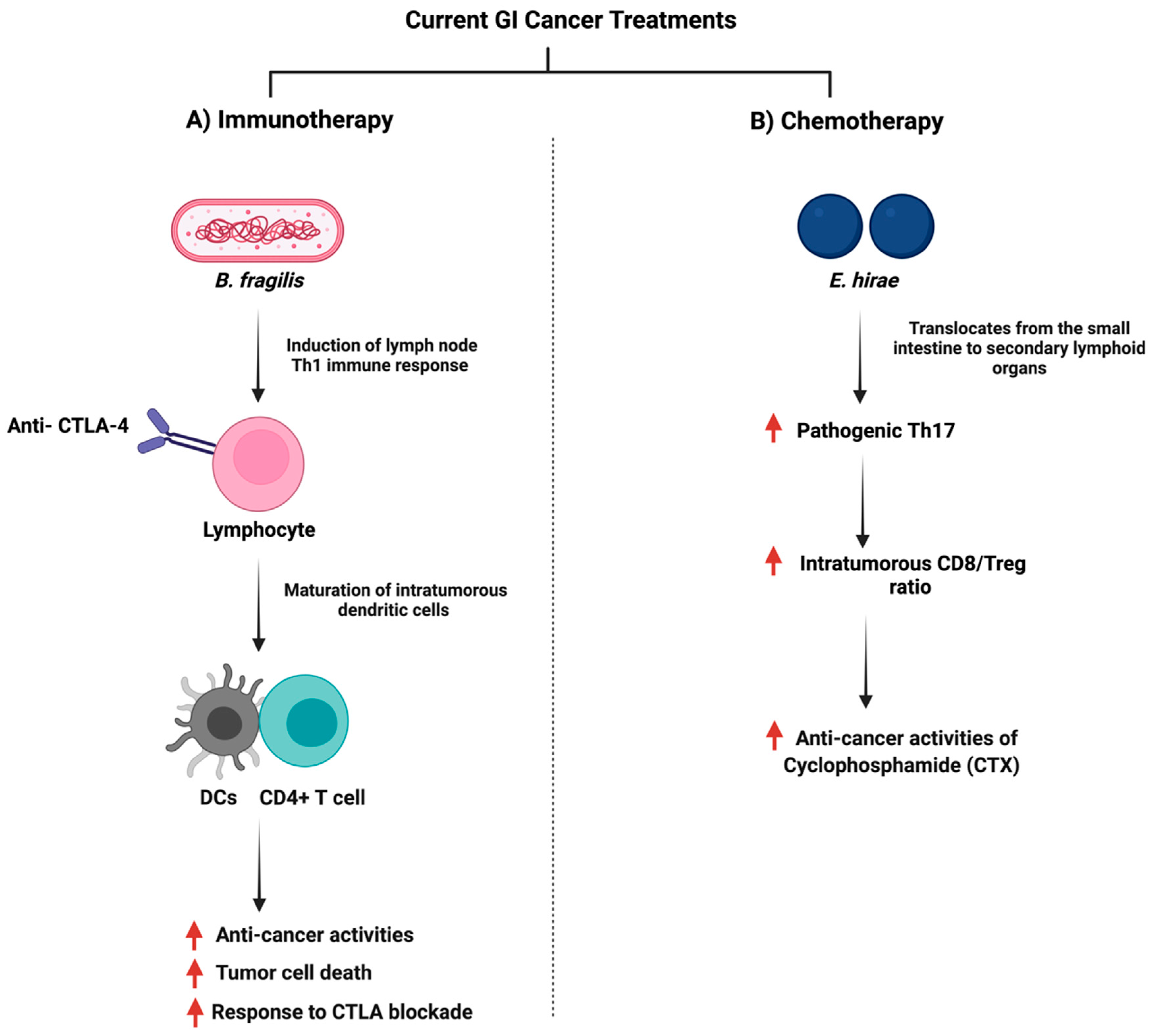 Cancers 14 02140 g007