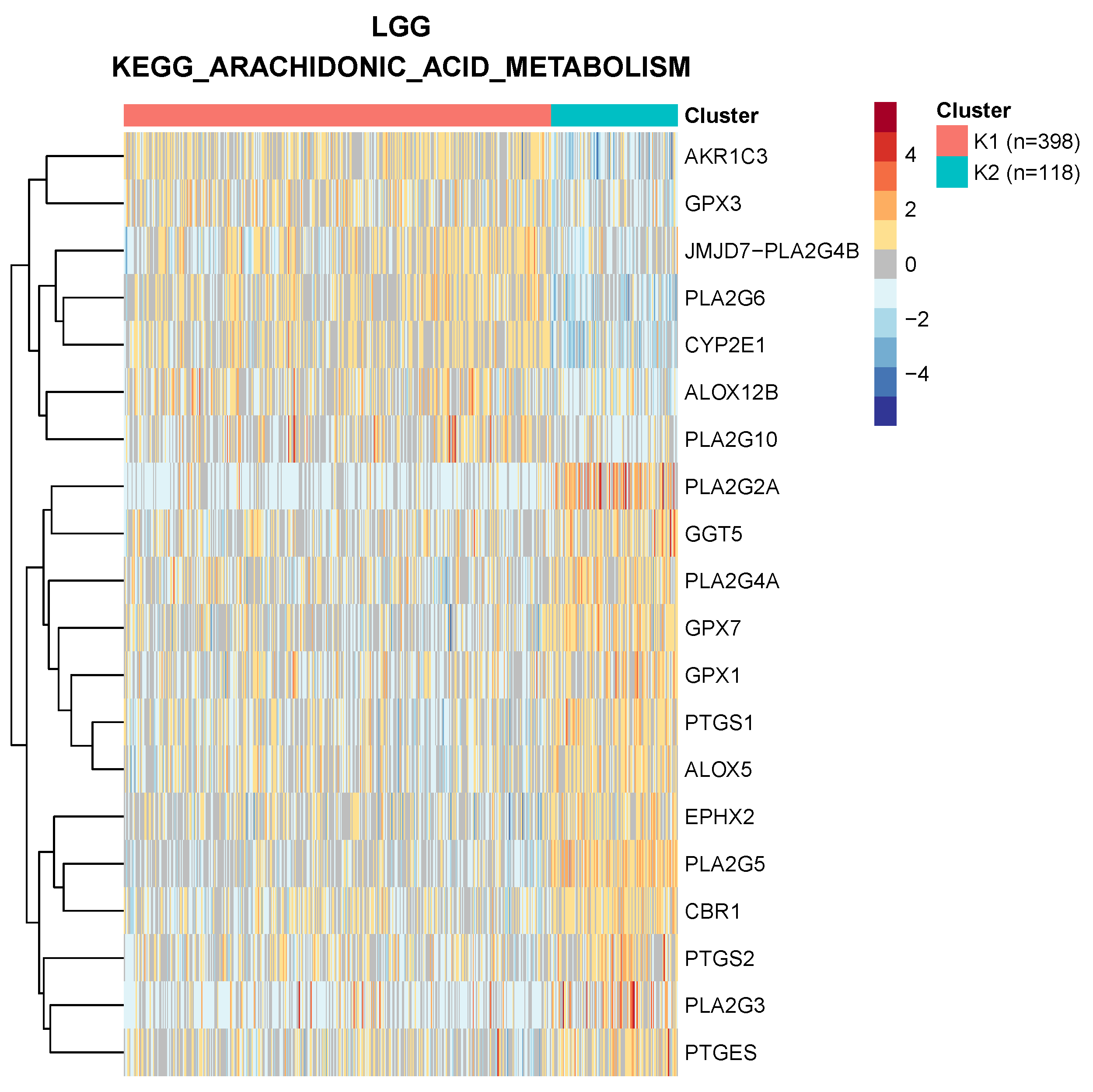 Cancers 14 02145 g001
